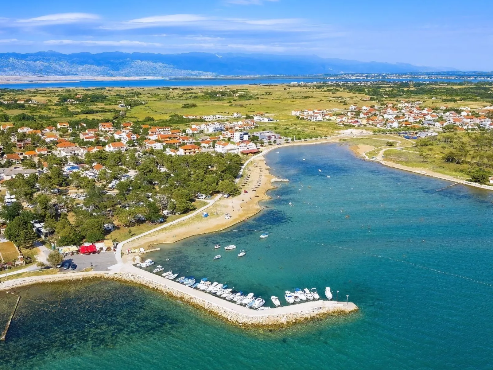 "Delfin prizemlje"-Image-tags.info