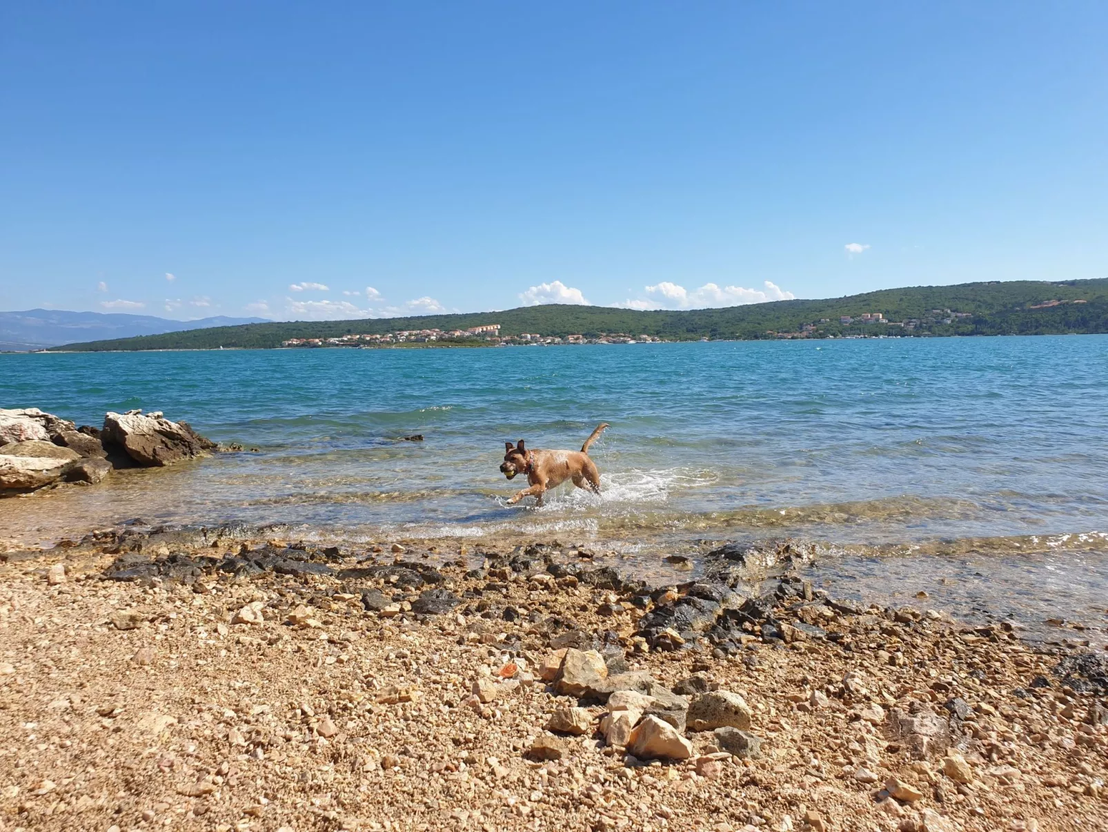 Apartment PintaDeSol-Dehors