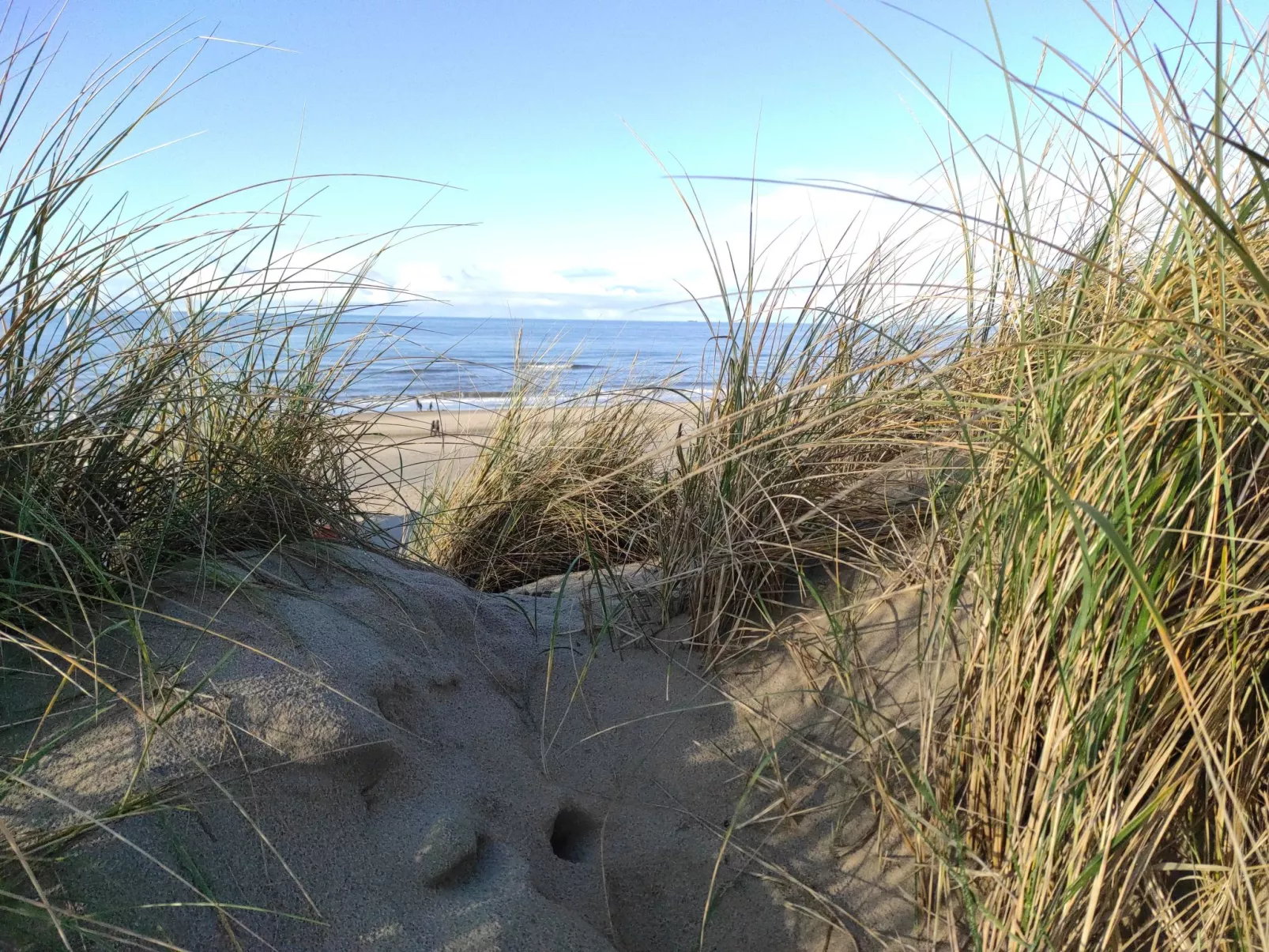 Stuivezandeweg 6, Nähe Strand-Dehors