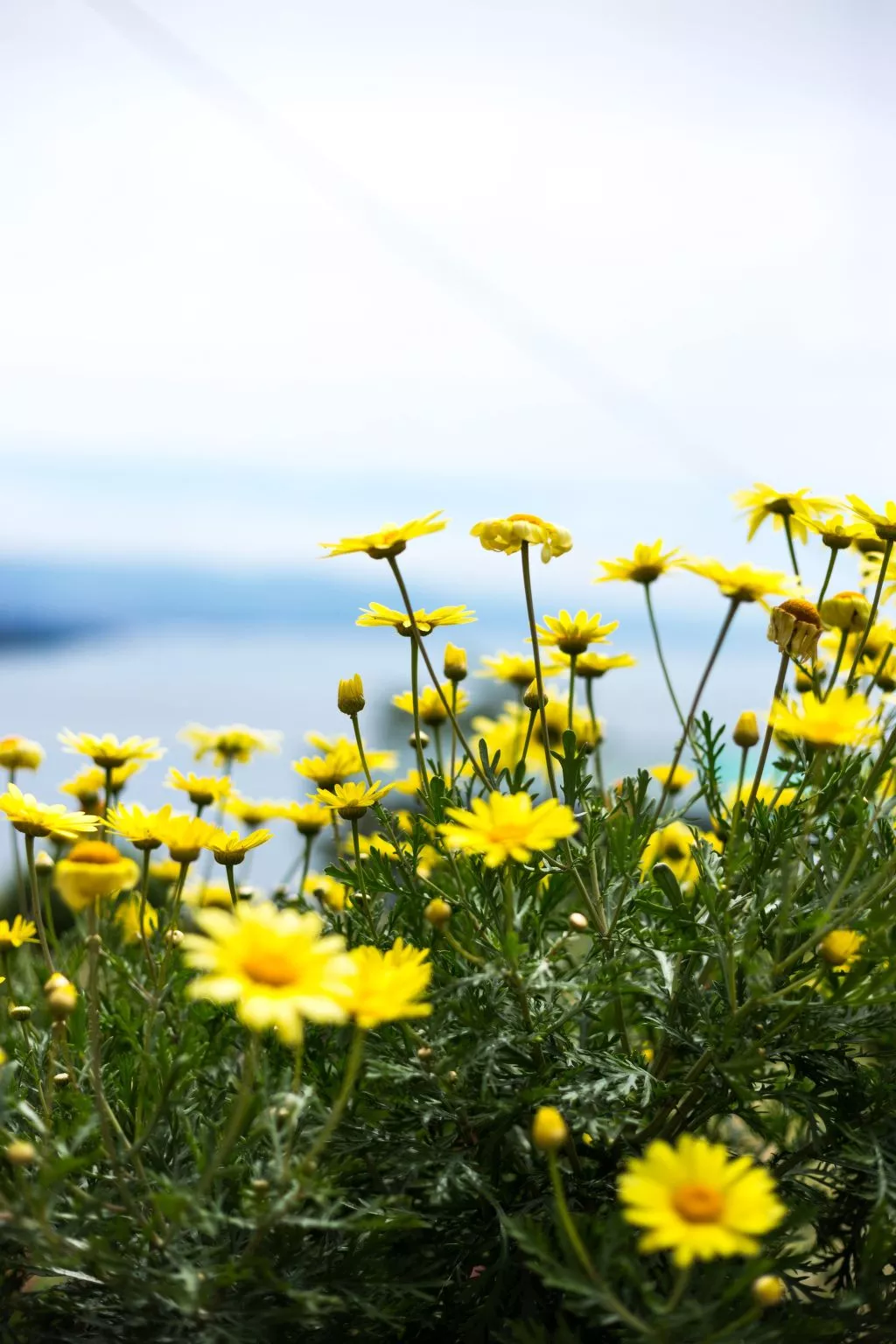 Mit Wasserblick-Outside