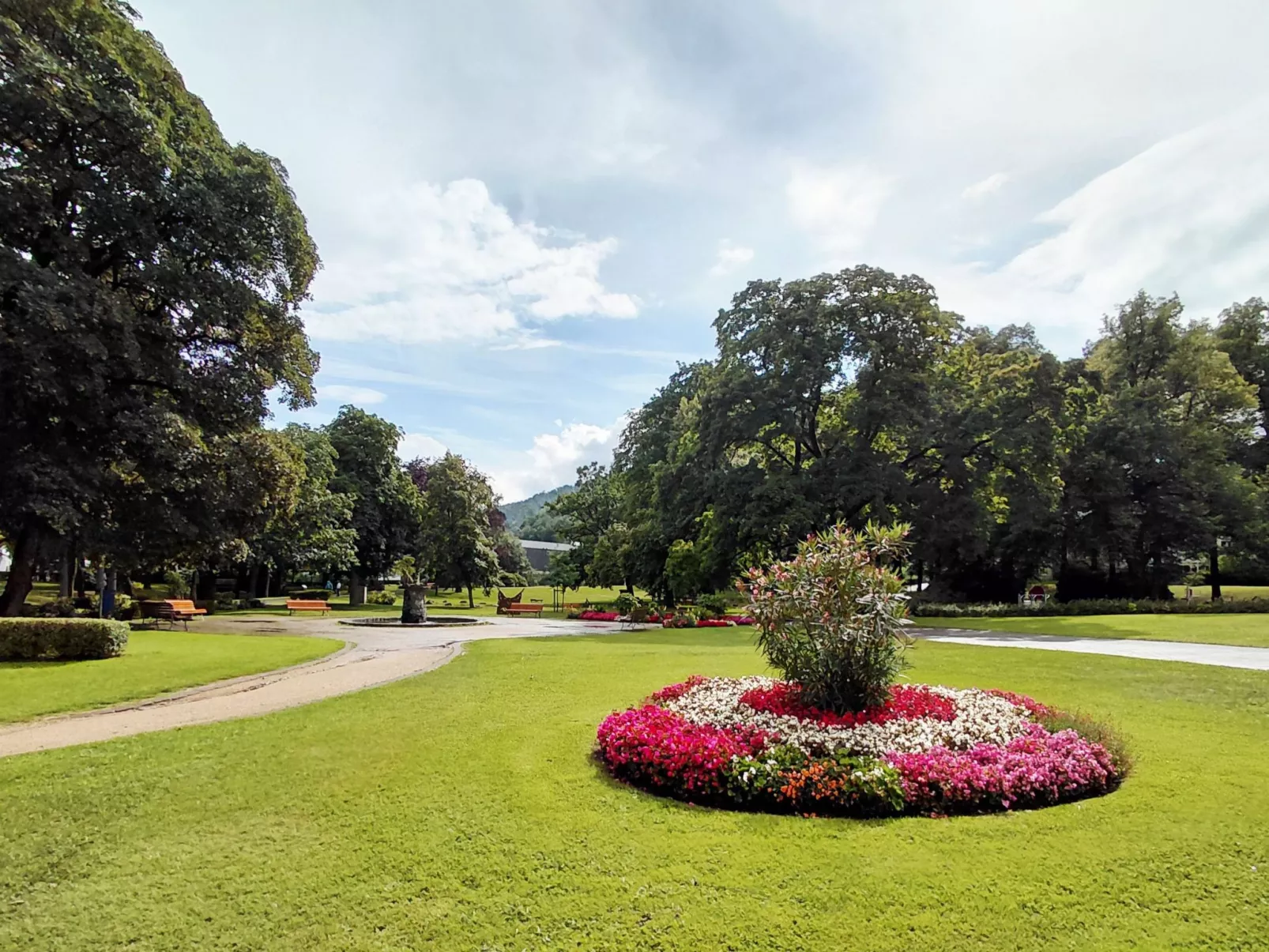 Wanderfalke II-Draußen