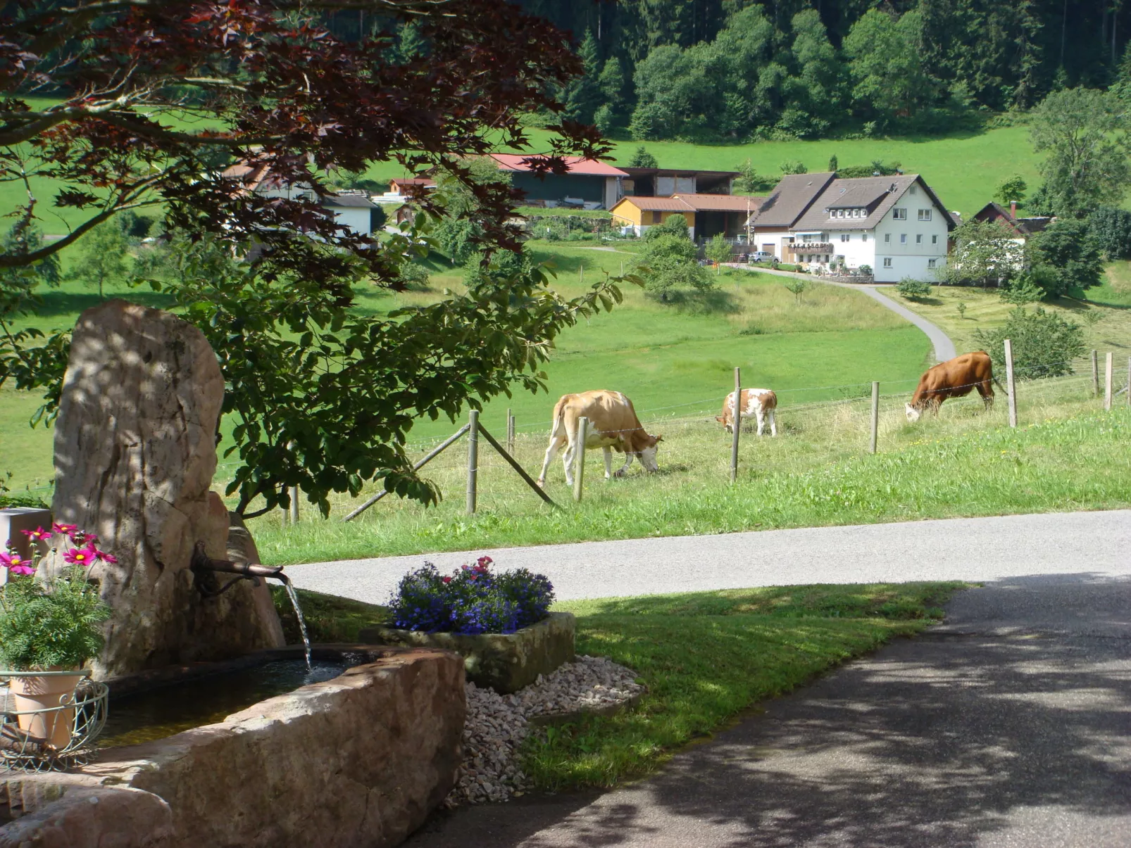 Alte Apotheke Nr. 1 -Offizin-Area