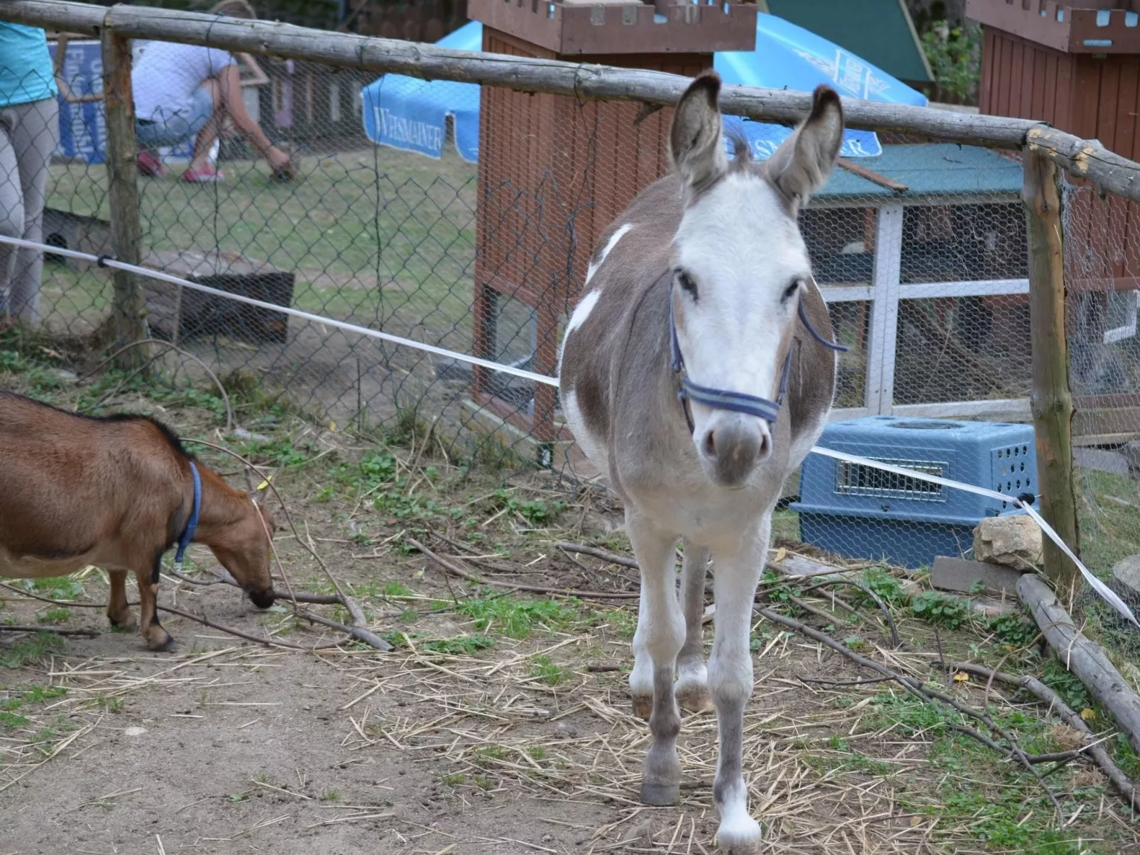 Mit Balkon und zwei Schlafzimmern-Draußen