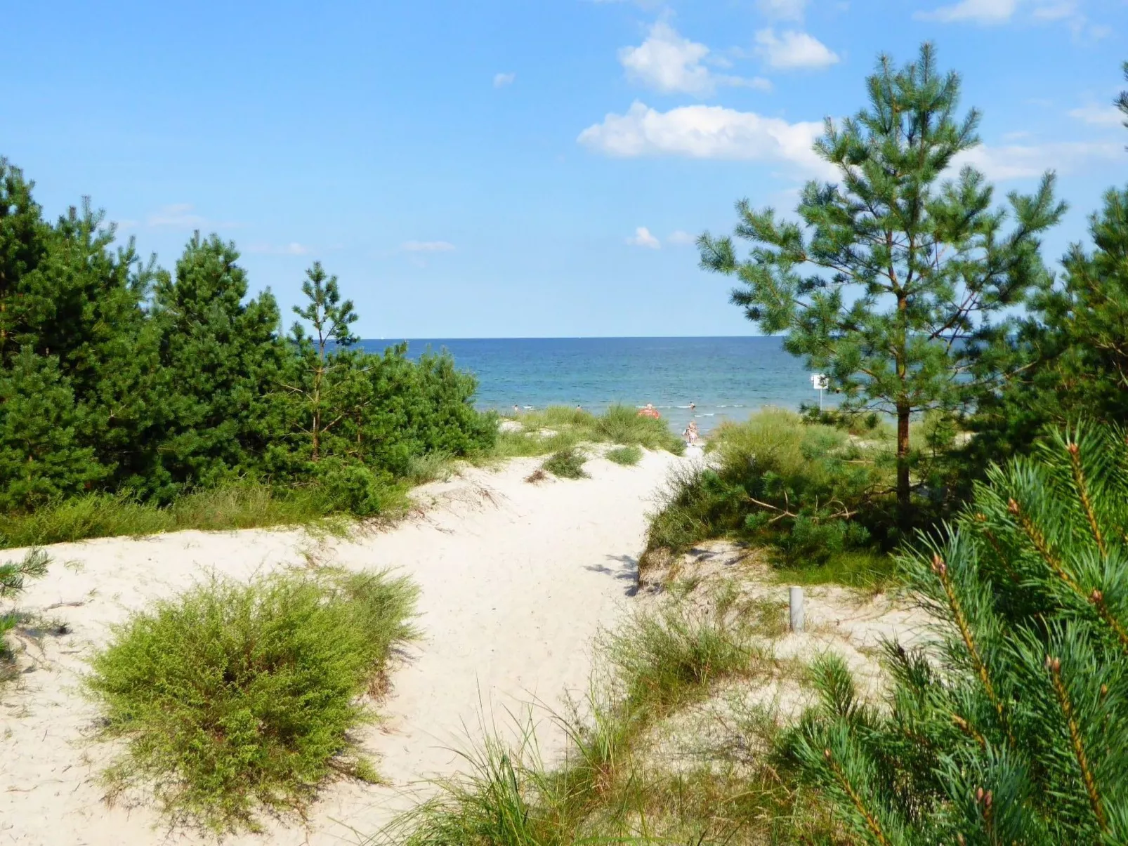Hochwertige Ferienwohnung in Gingst-Draußen