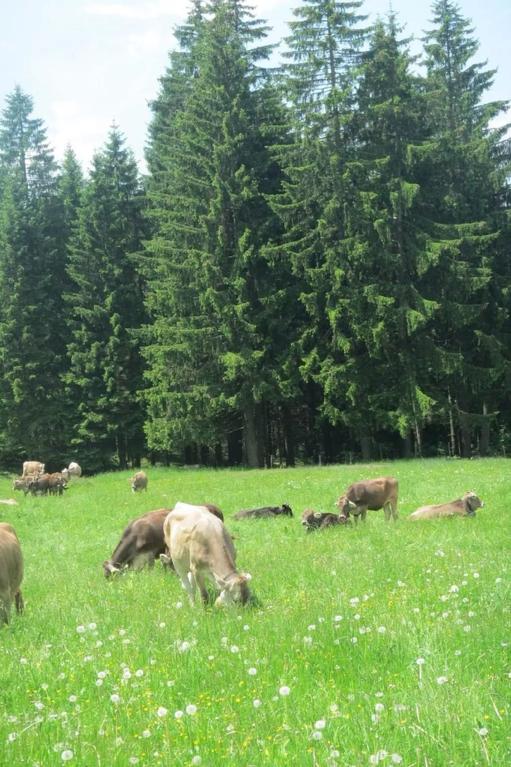 Mit Hallenbad-Outside