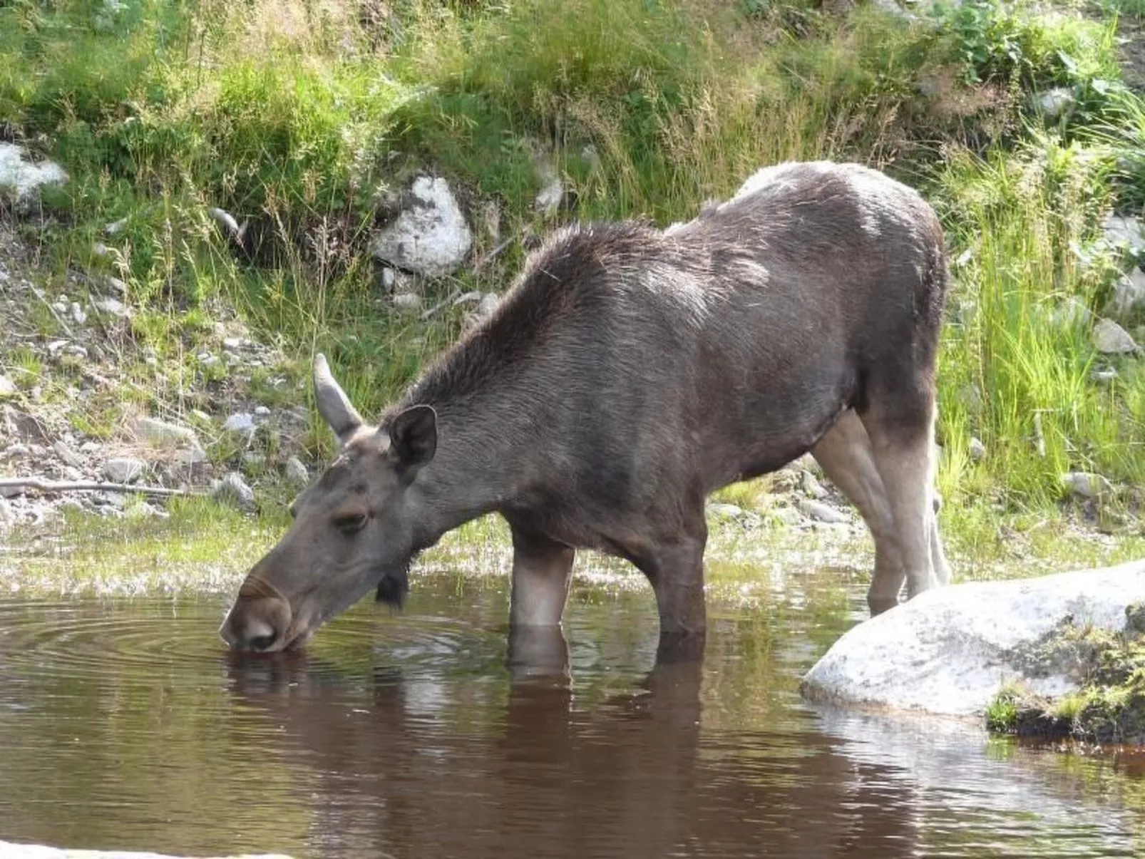 Idyllisches Bauernhaus in Småland-Image-tags.info