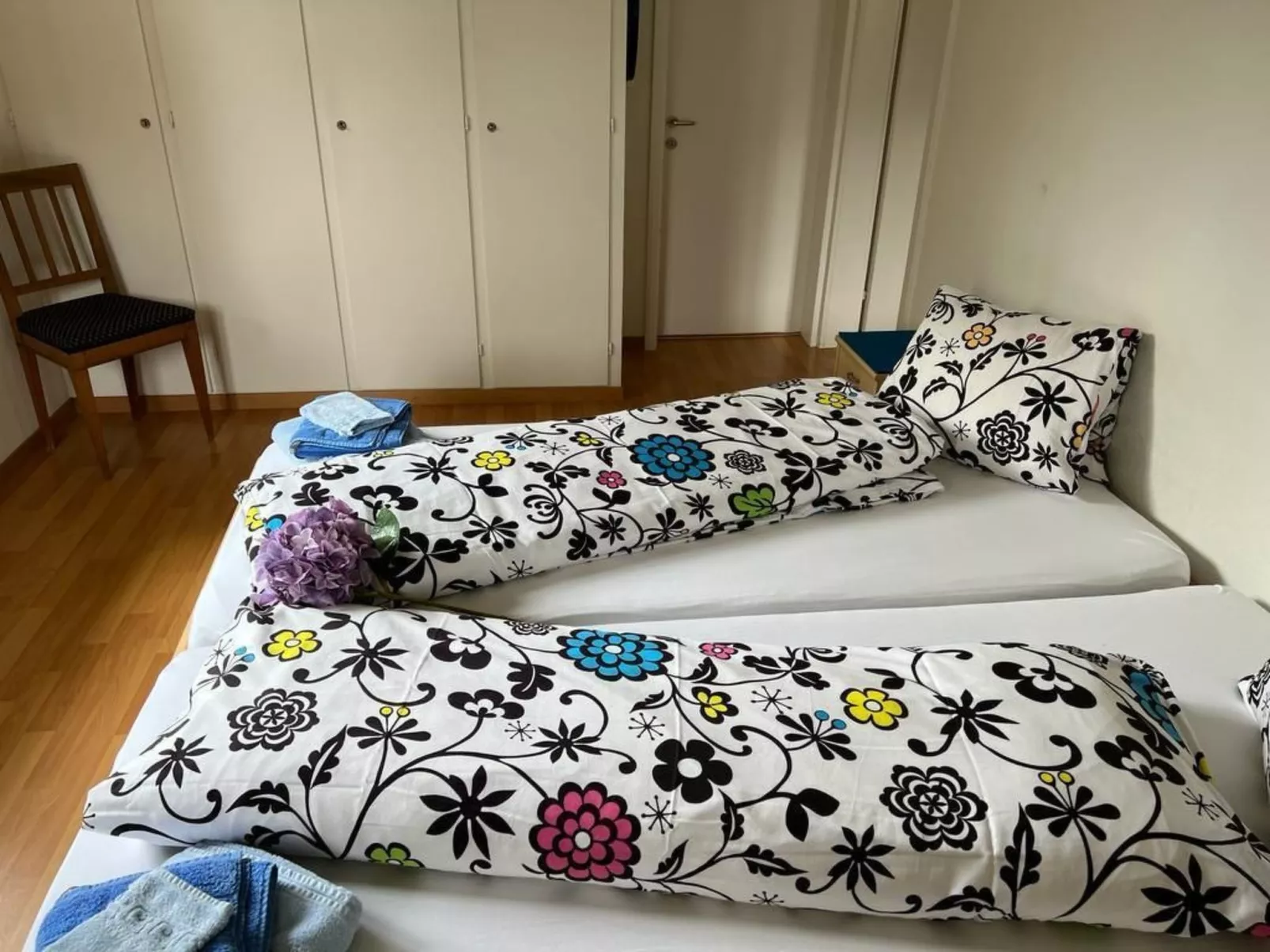 Carina 5 - Image-tags.info