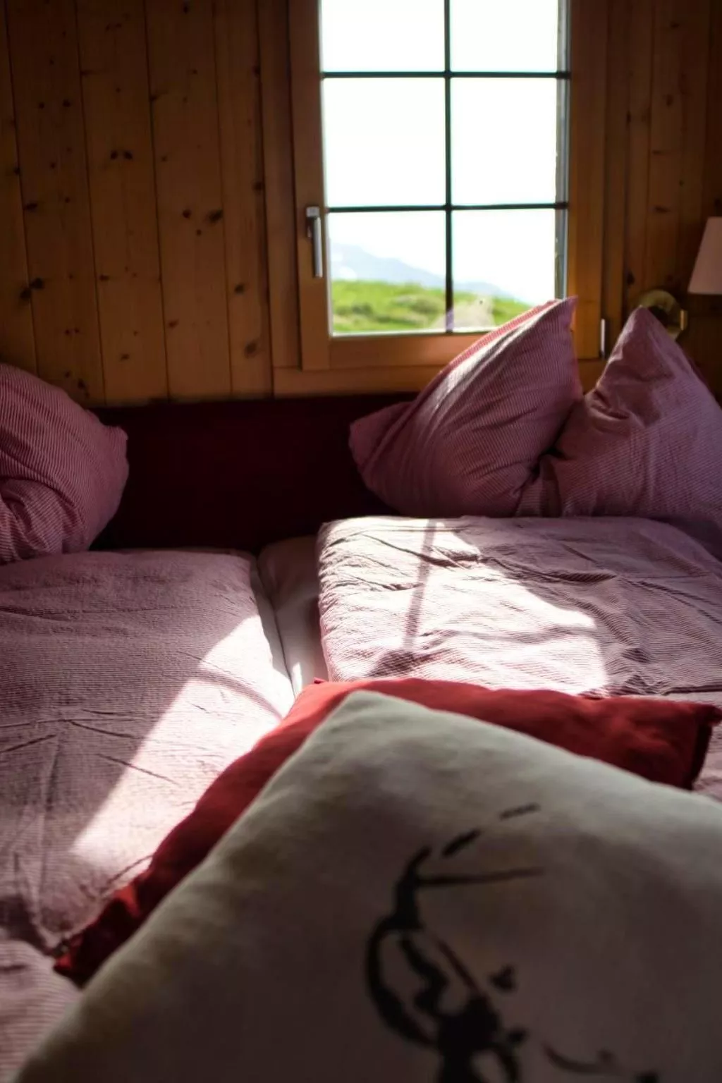 CHÜESTALL HITTA RIEDERALP-Drinnen