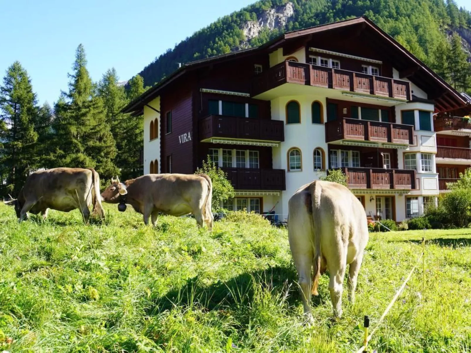 Studio mit traumhaftem Blick auf das Matterhorn-Dehors