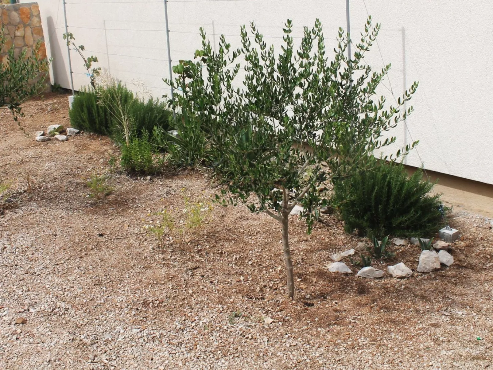 "Gubo1" mit Blick auf das Wasser-Draußen