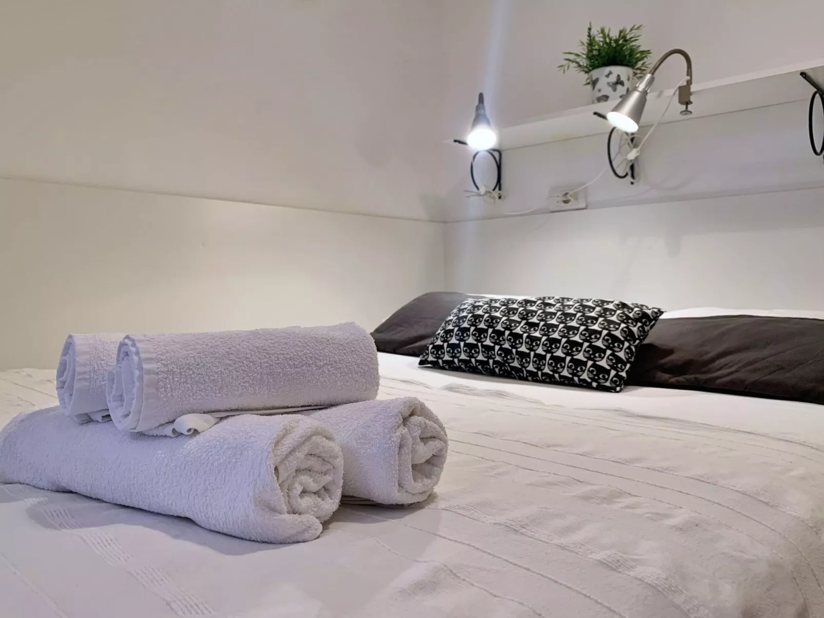 Studio Savic-Image-tags.info