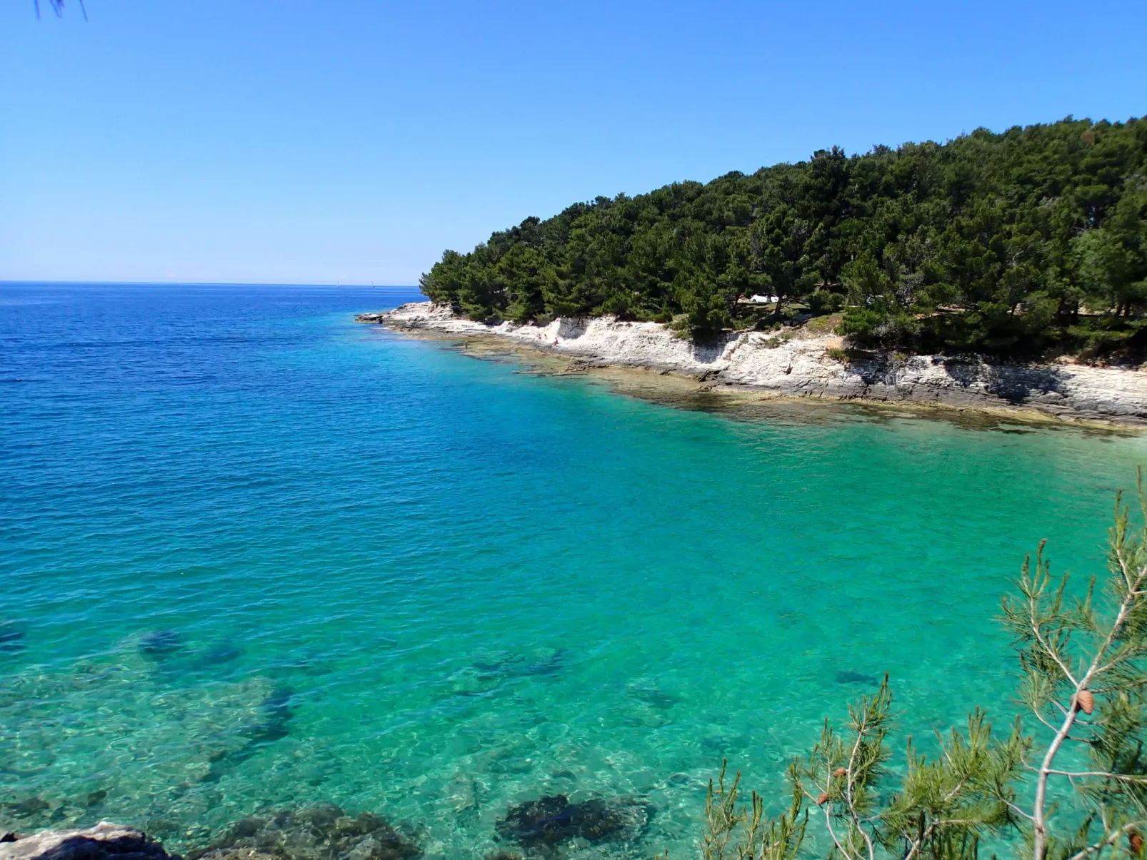 Gemütliches Studio-Apartment-Dehors