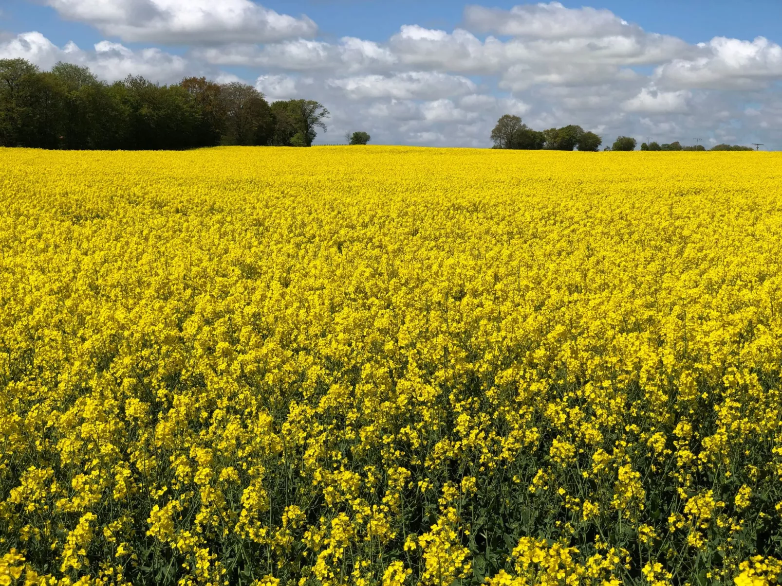 Dat Lütje 516-Outside