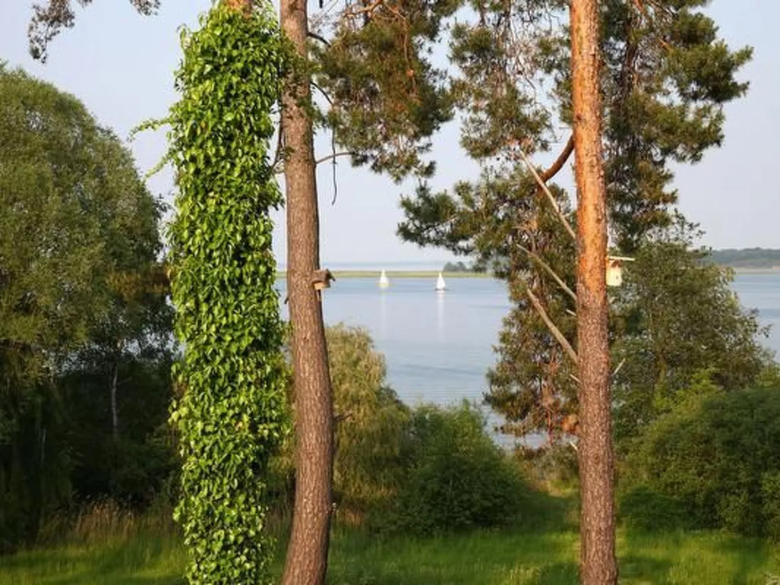 Müritzblick35-Outside