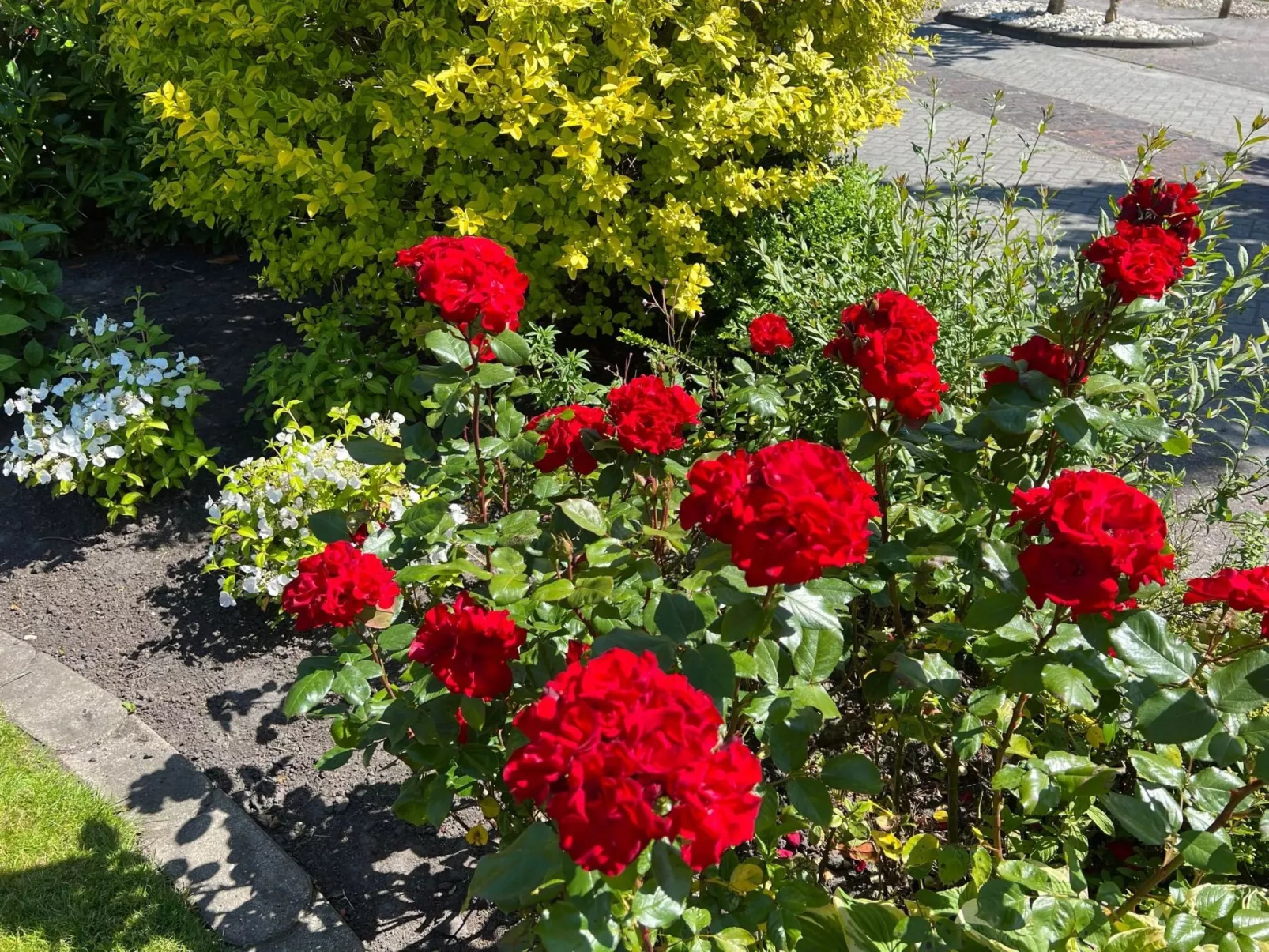 Fewo Strandnah-Draußen