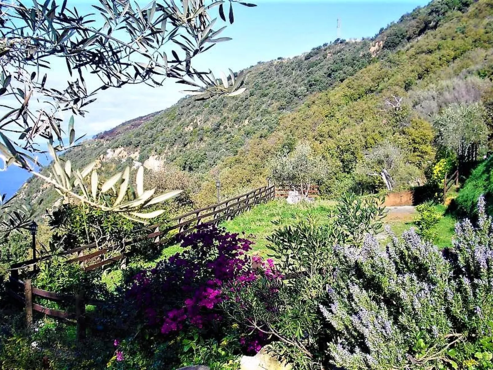 Granatapfel-Wohnung-Draußen