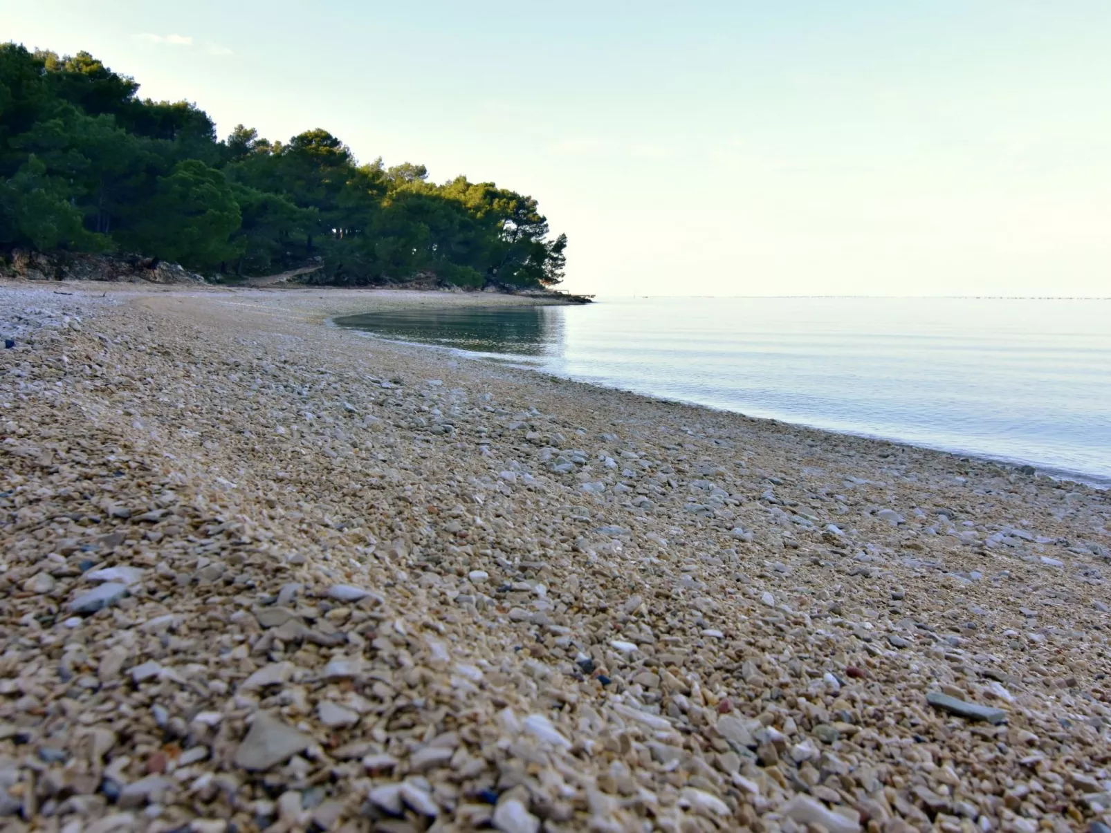 ALBINA STUDIO 5-Dehors