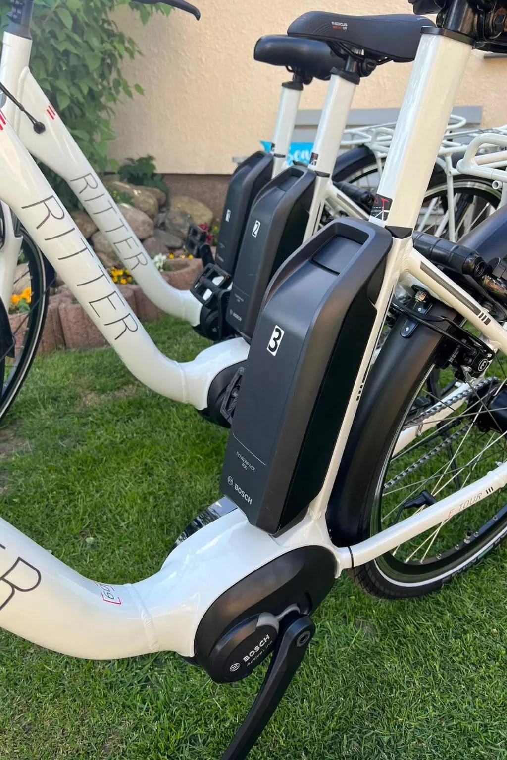 Blockbohlenhaus Plau am See-Outside