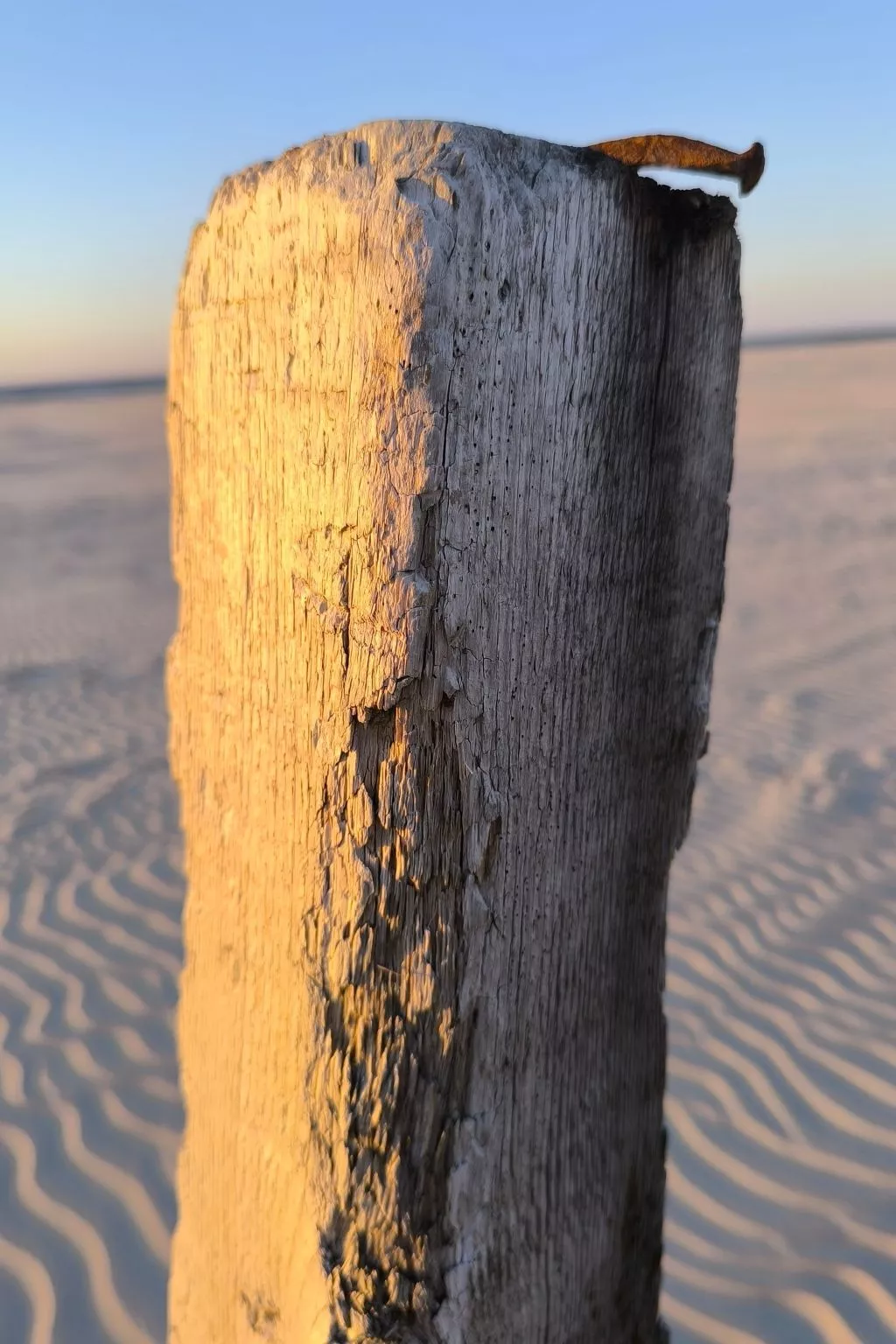  in Marienhafe-Outside