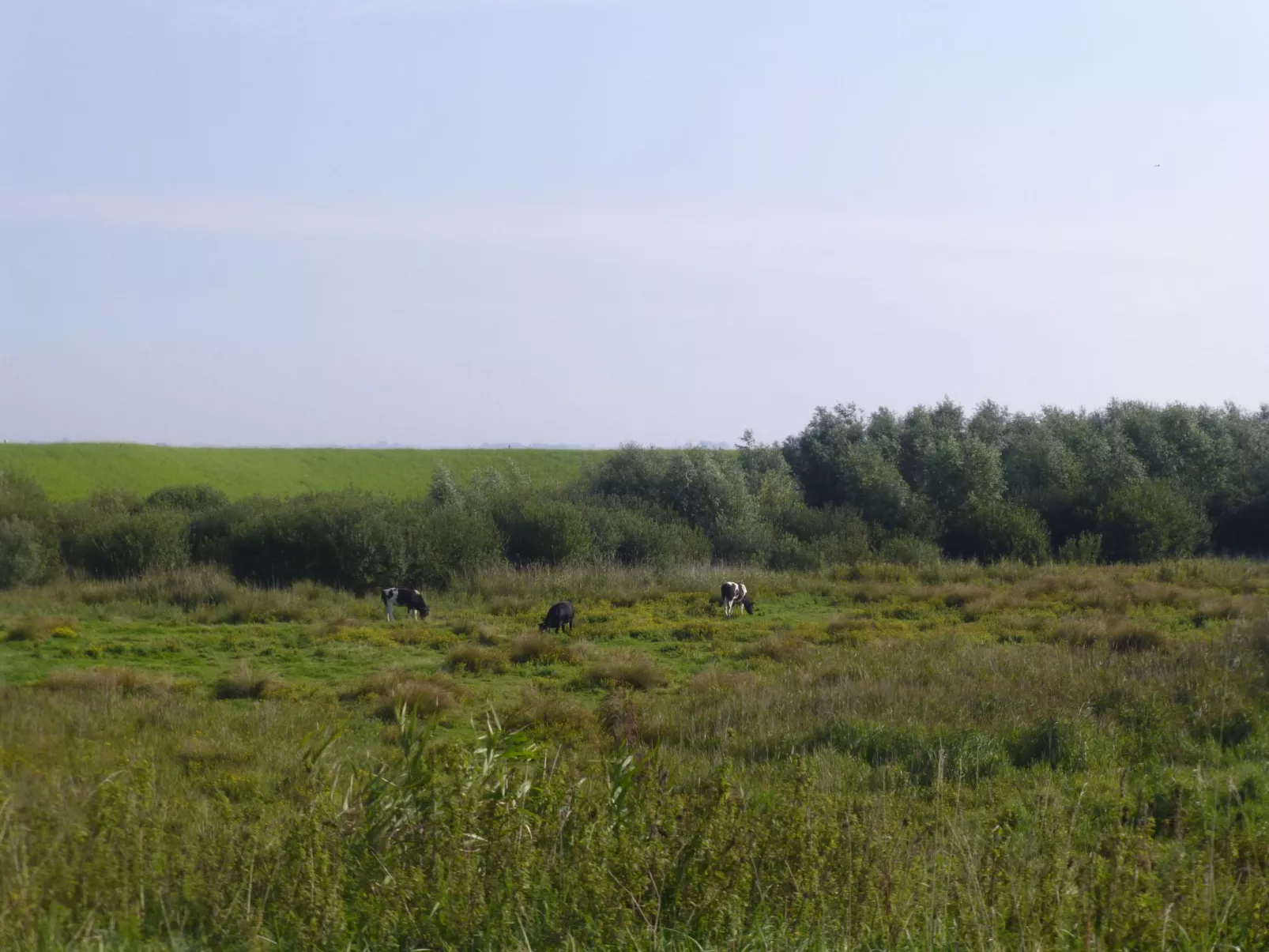 Neuer schöner Bungalow-Outside