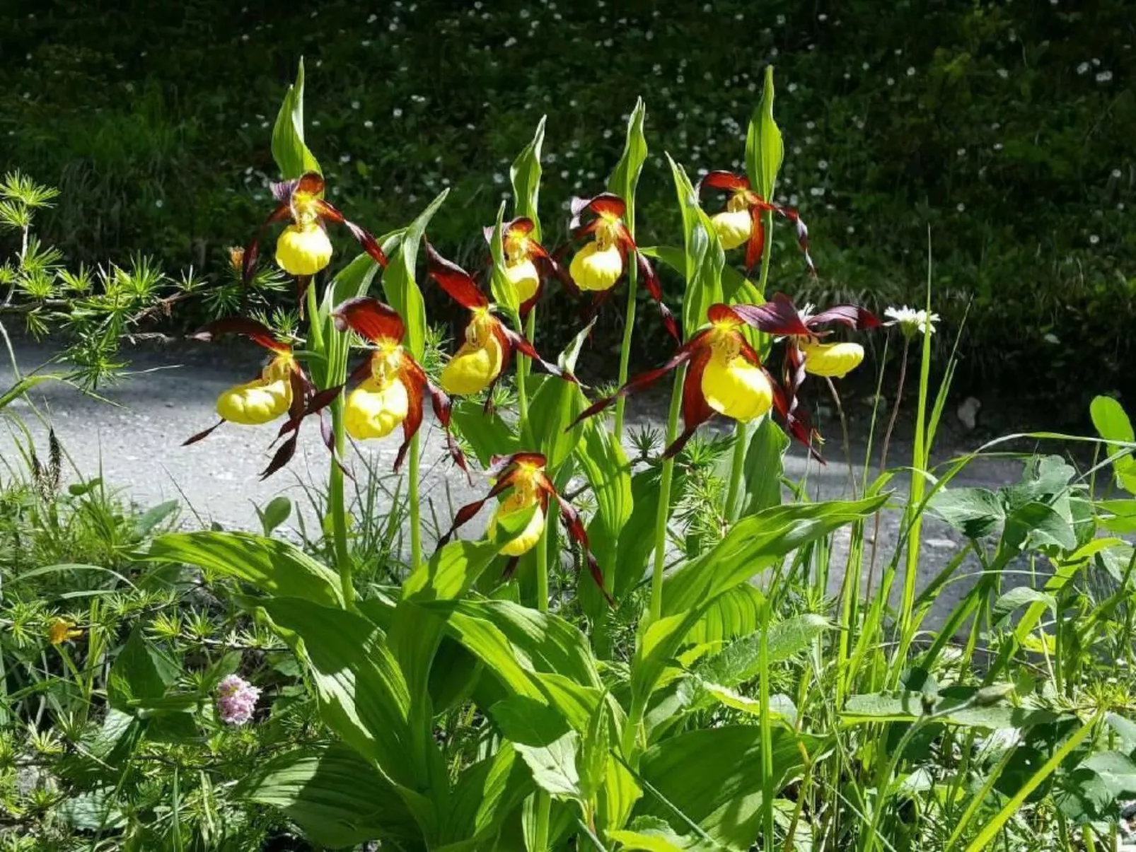 Pensiun Tung-Outside