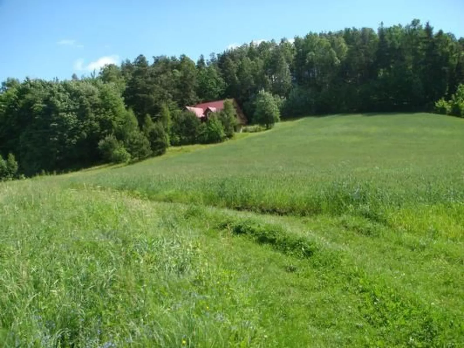 In Kaschubei-Image-tags.info