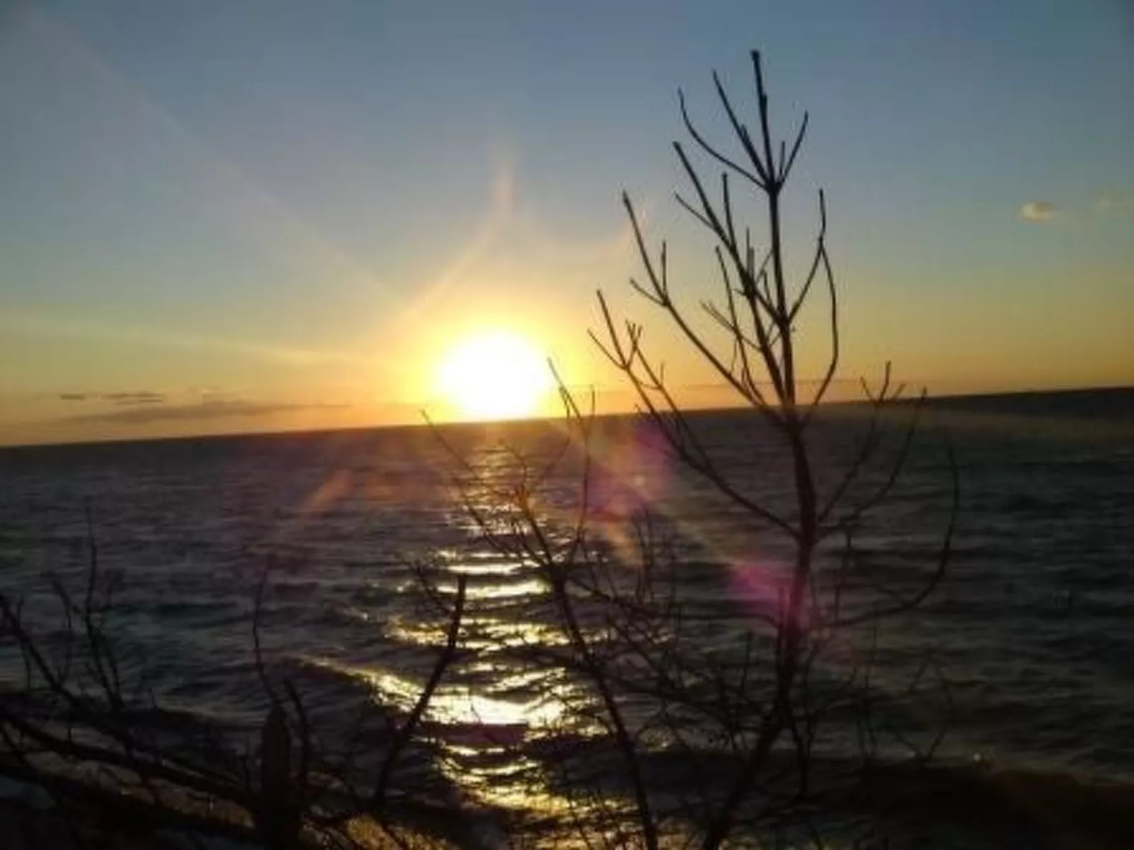 Froschhaus-Image-tags.info