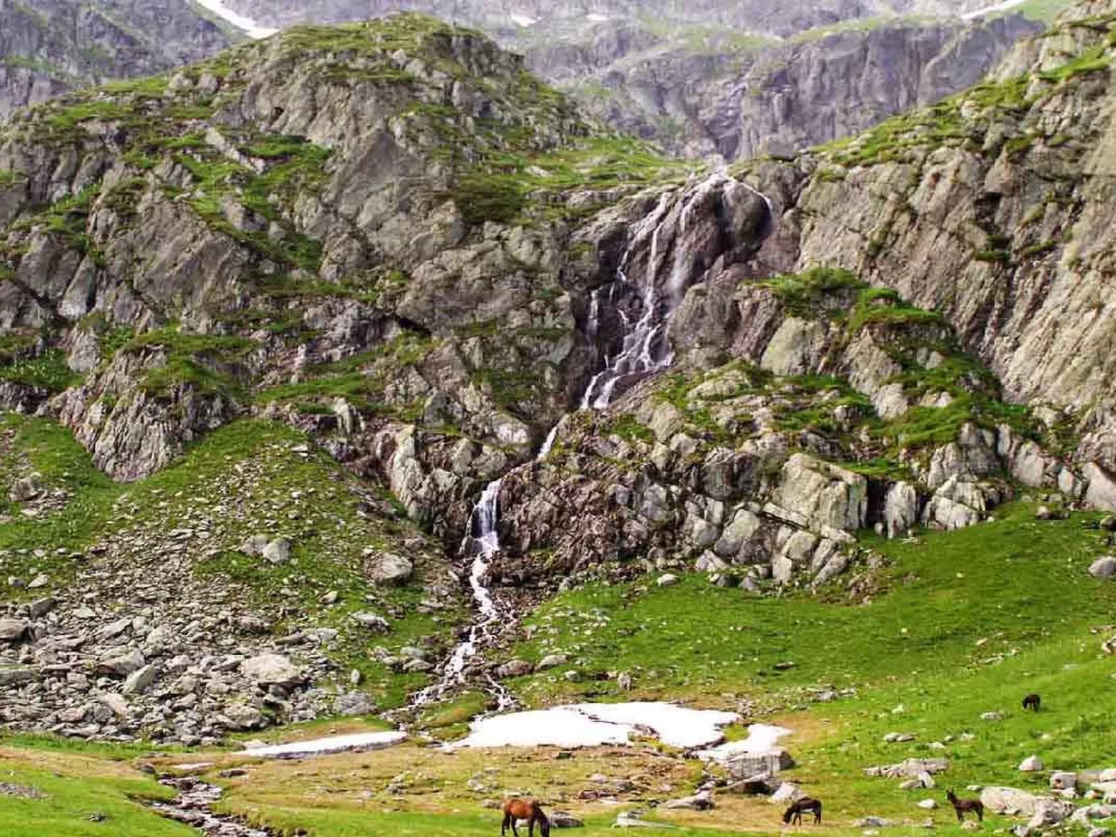 Casa Pelu-Image-tags.info