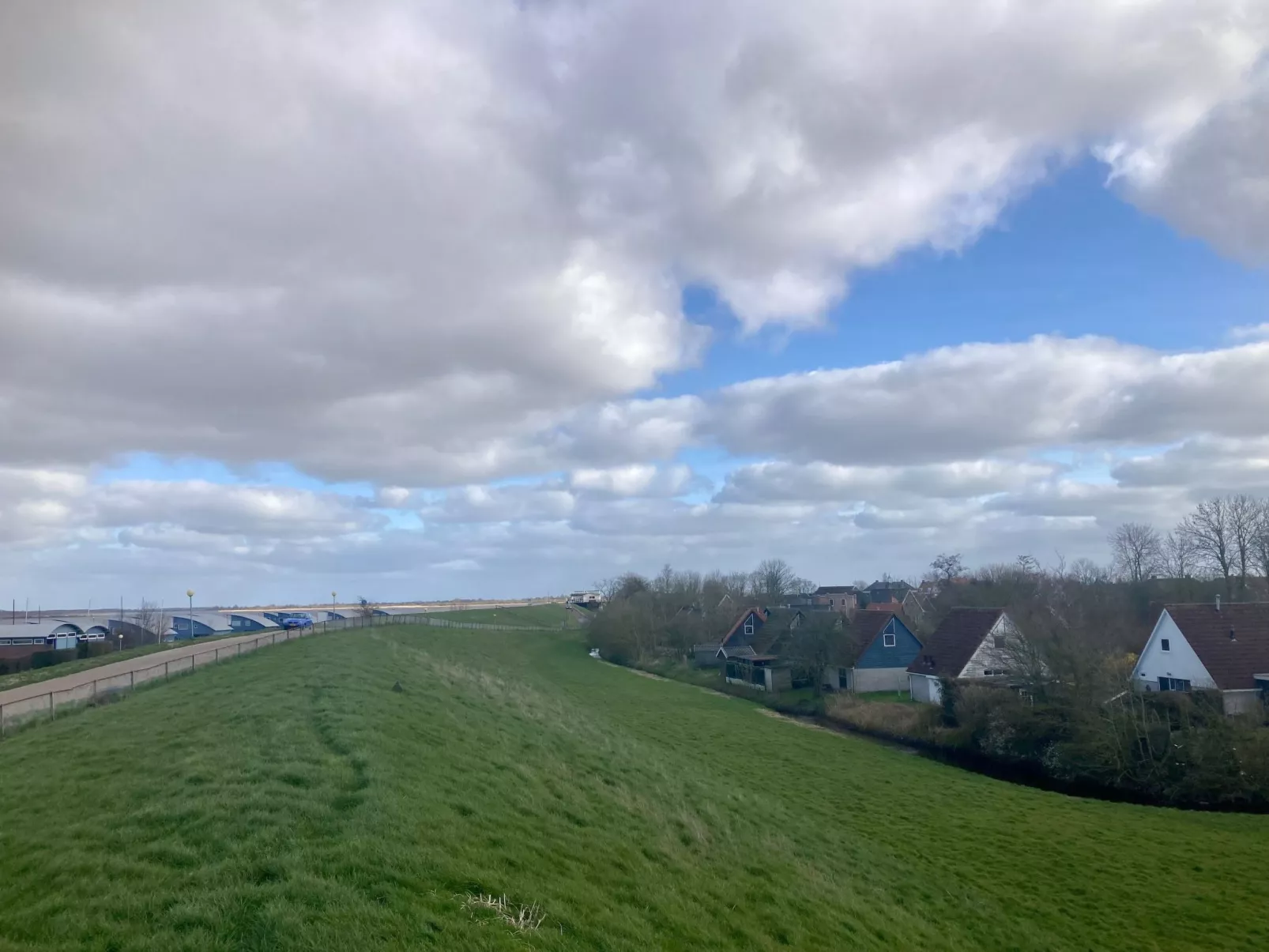 120 Dijkrose-Draußen