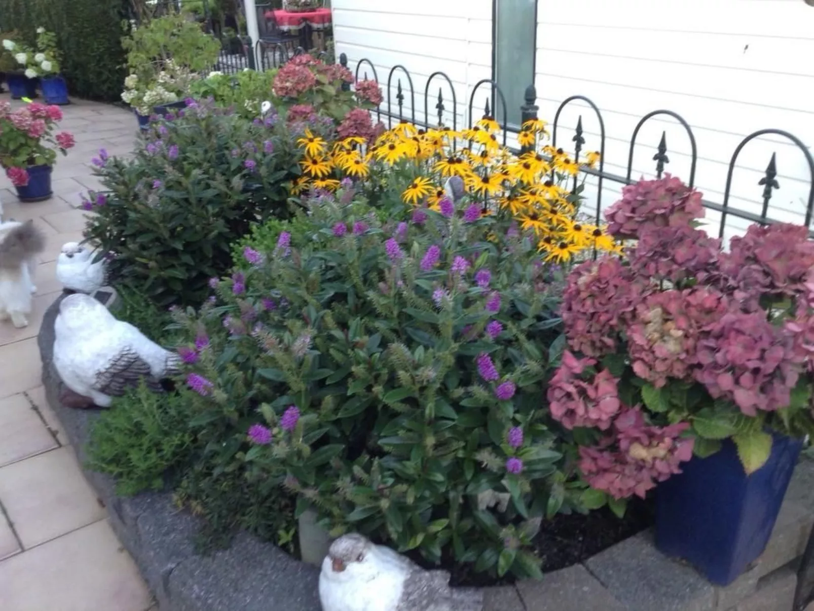 Direkt am See-Image-tags.info