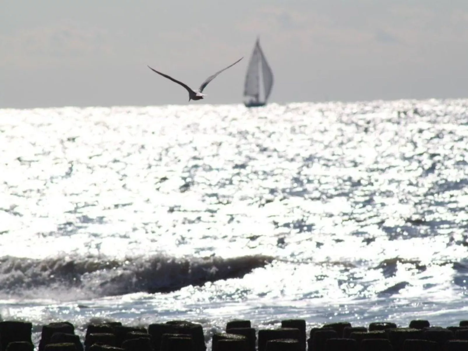 Altes Deichbauernhaus mit Garten-Outside