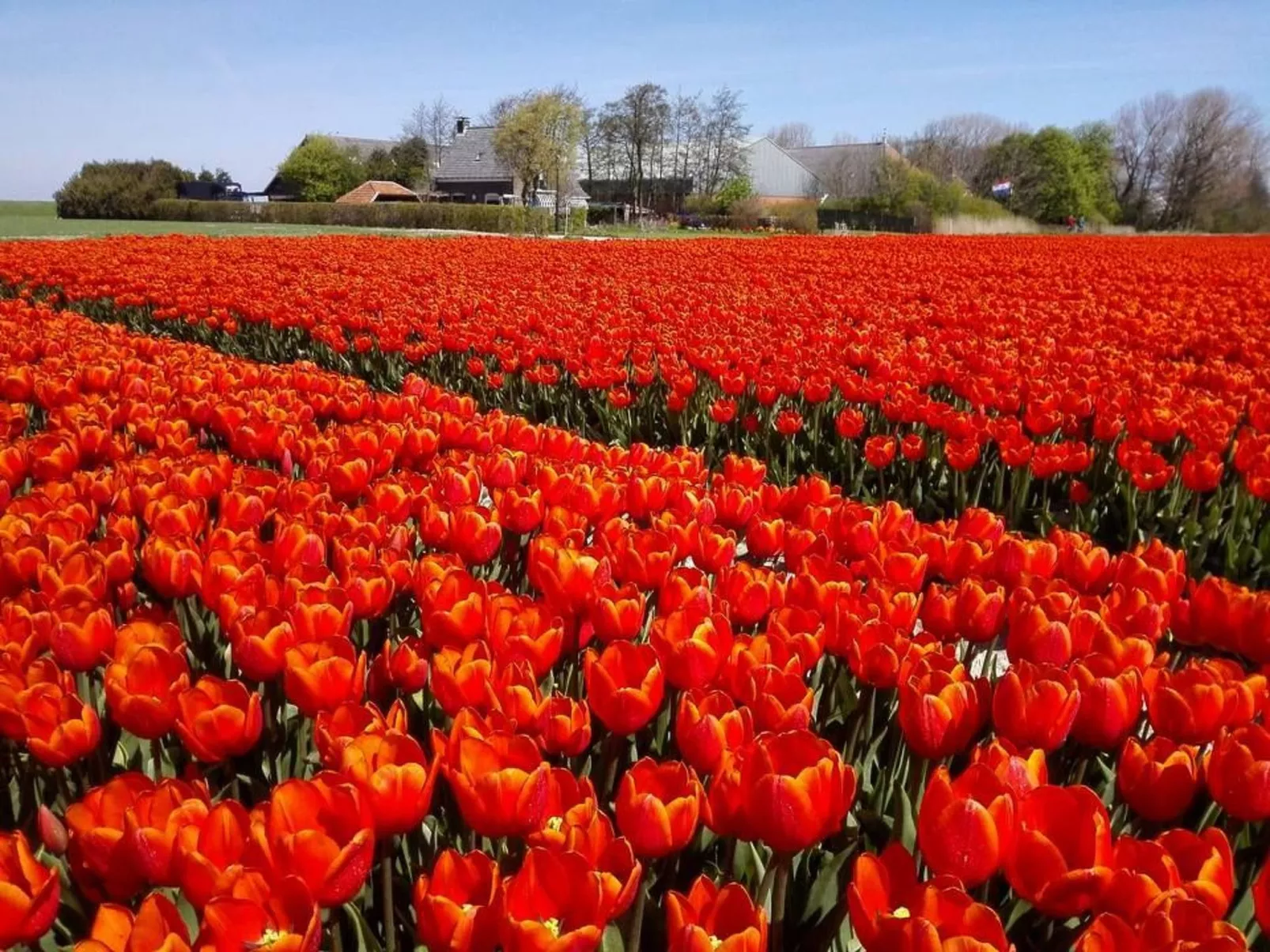 Sommerhaus Klein Wimmenum, Nähe Strand und Dünen-Draußen
