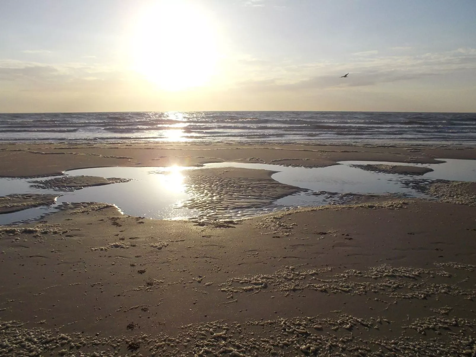 SummerBreak-Image-tags.info