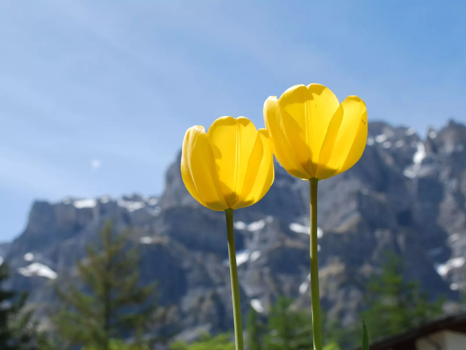 Haus Cristal 39-Dehors
