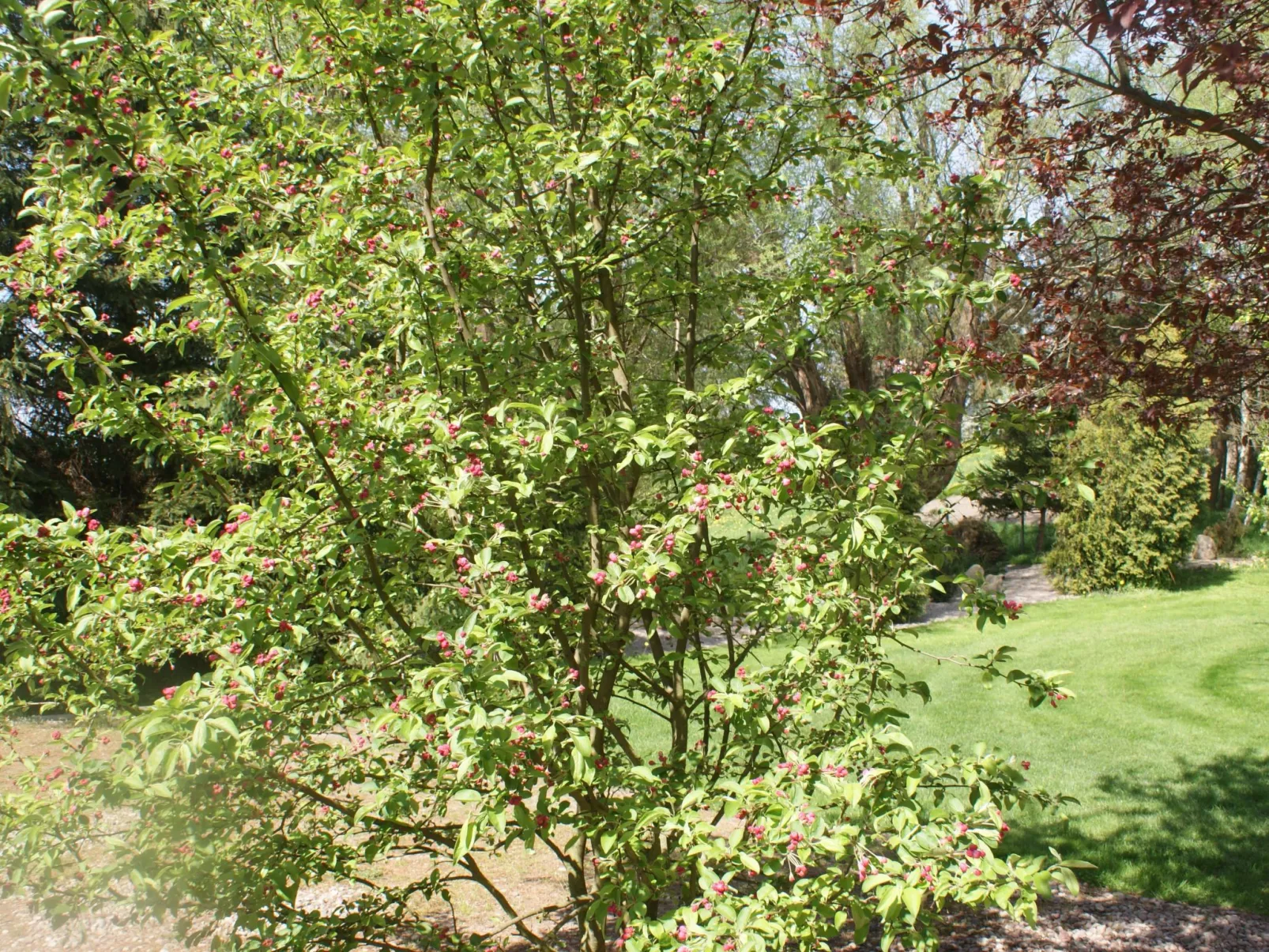 Ruhe am Meer - Ferienhäuser in den Gärten von Magra-Draußen