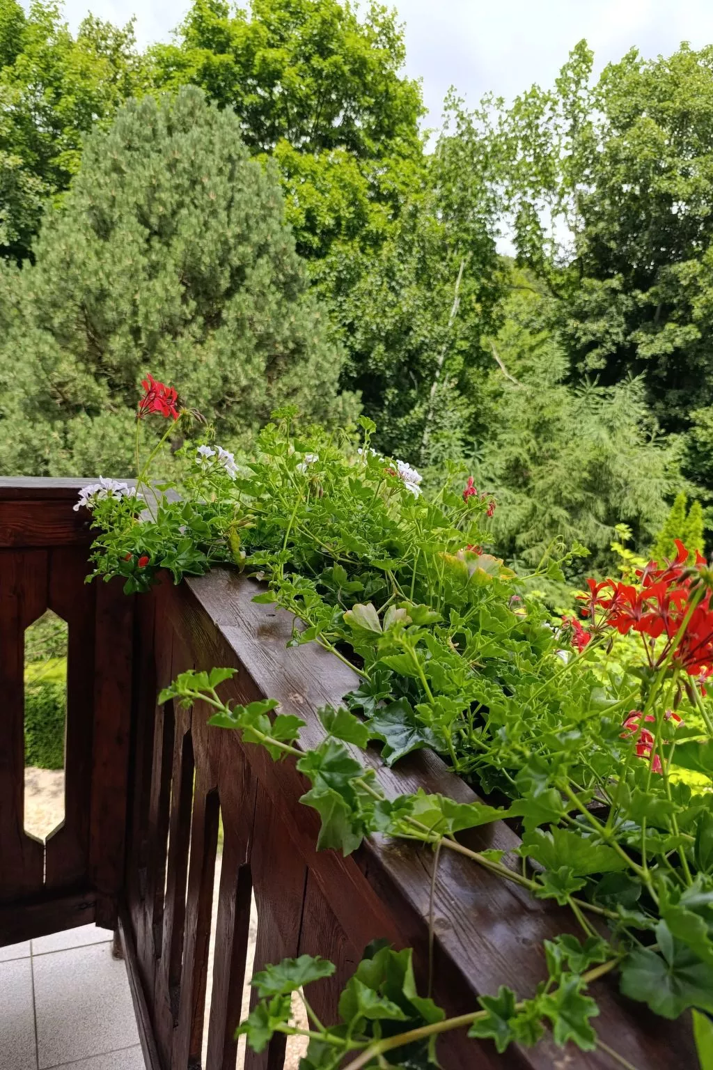 Wohnung Nr. 1-Dehors