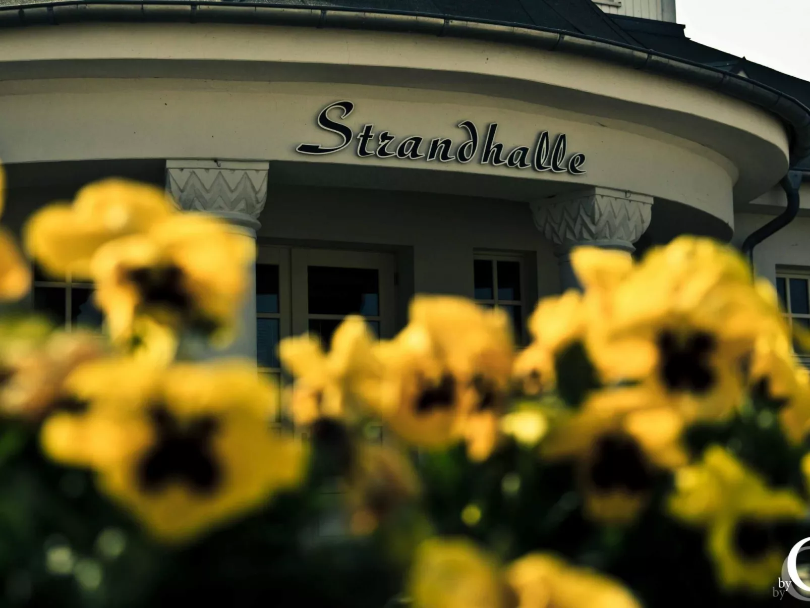 Am Apothekerberg-Draußen