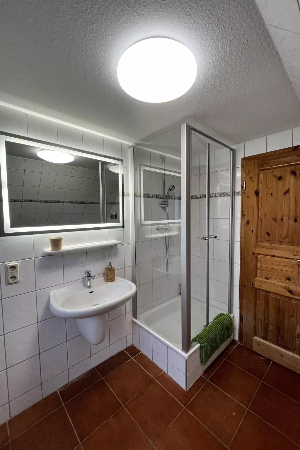 Gans in Ummanz-Lüßvitz-Inside