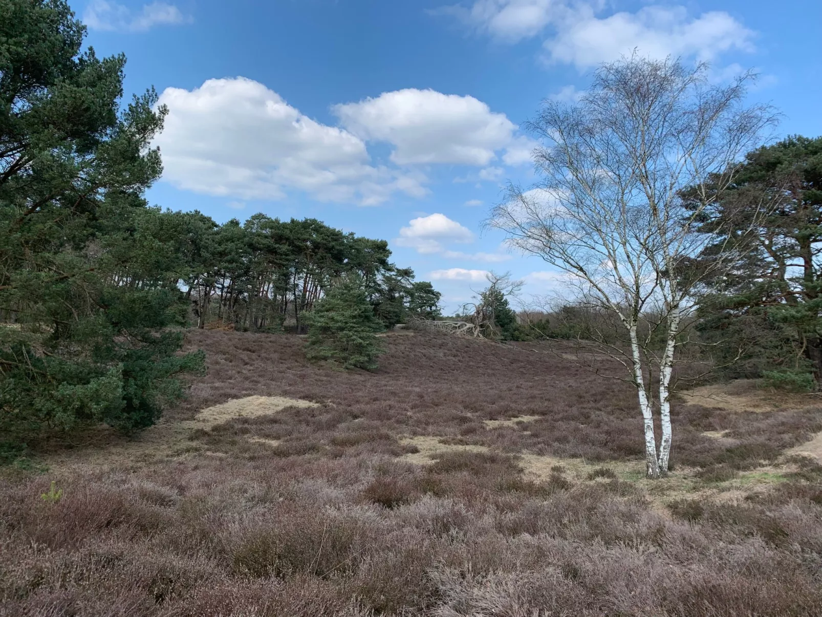 Mit eigener Terrasse-Outside