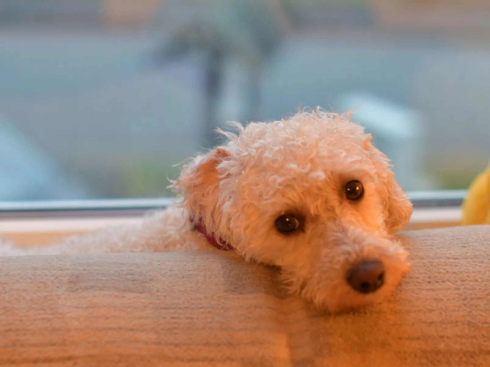 Mit Garten und Spielplatznutzung-Drinnen