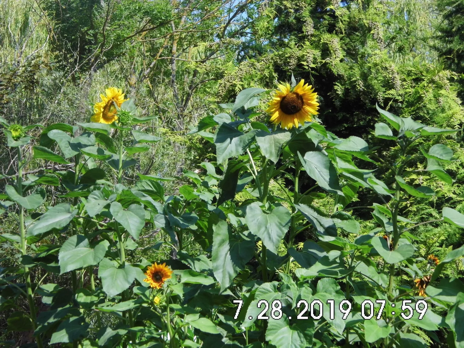 Am malerischen Nepperminer See-Outside