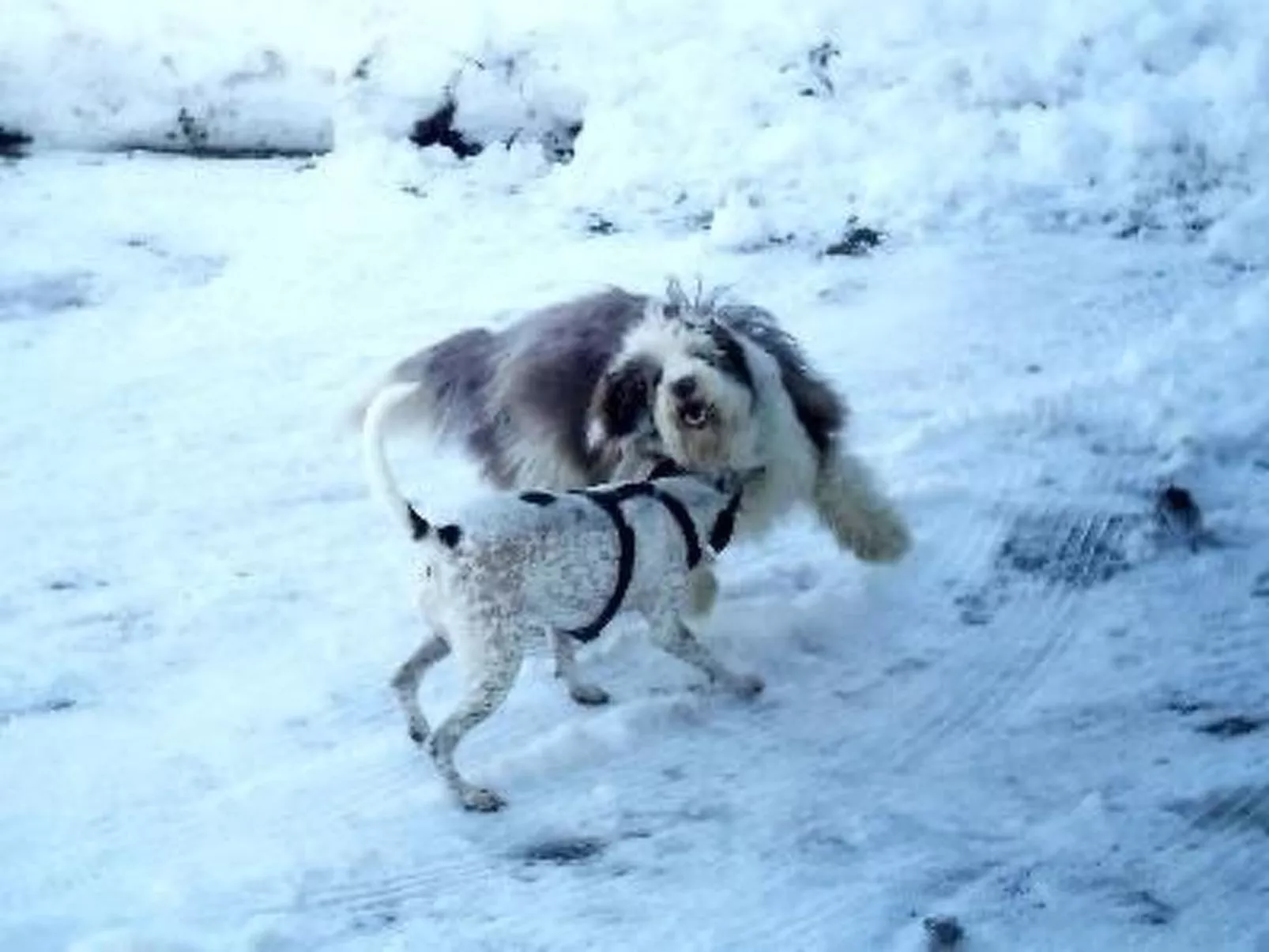 Falkenberg Wh 211-Draußen