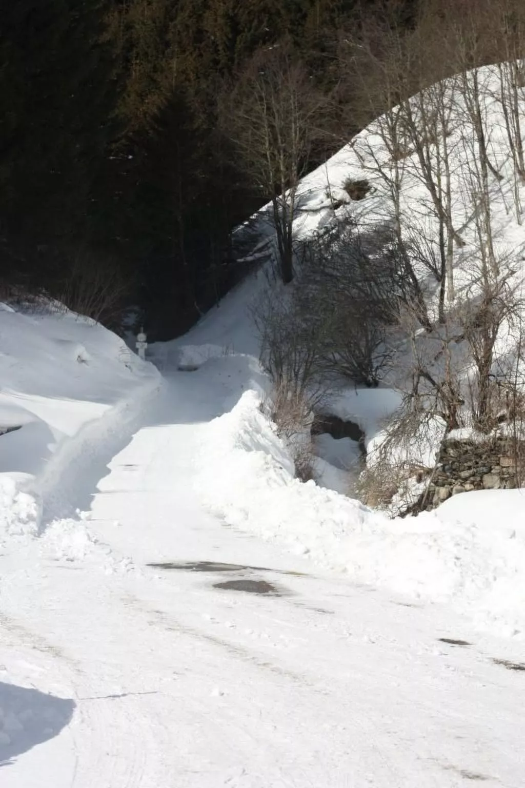 Berghof Turrach in Turrach-Outside