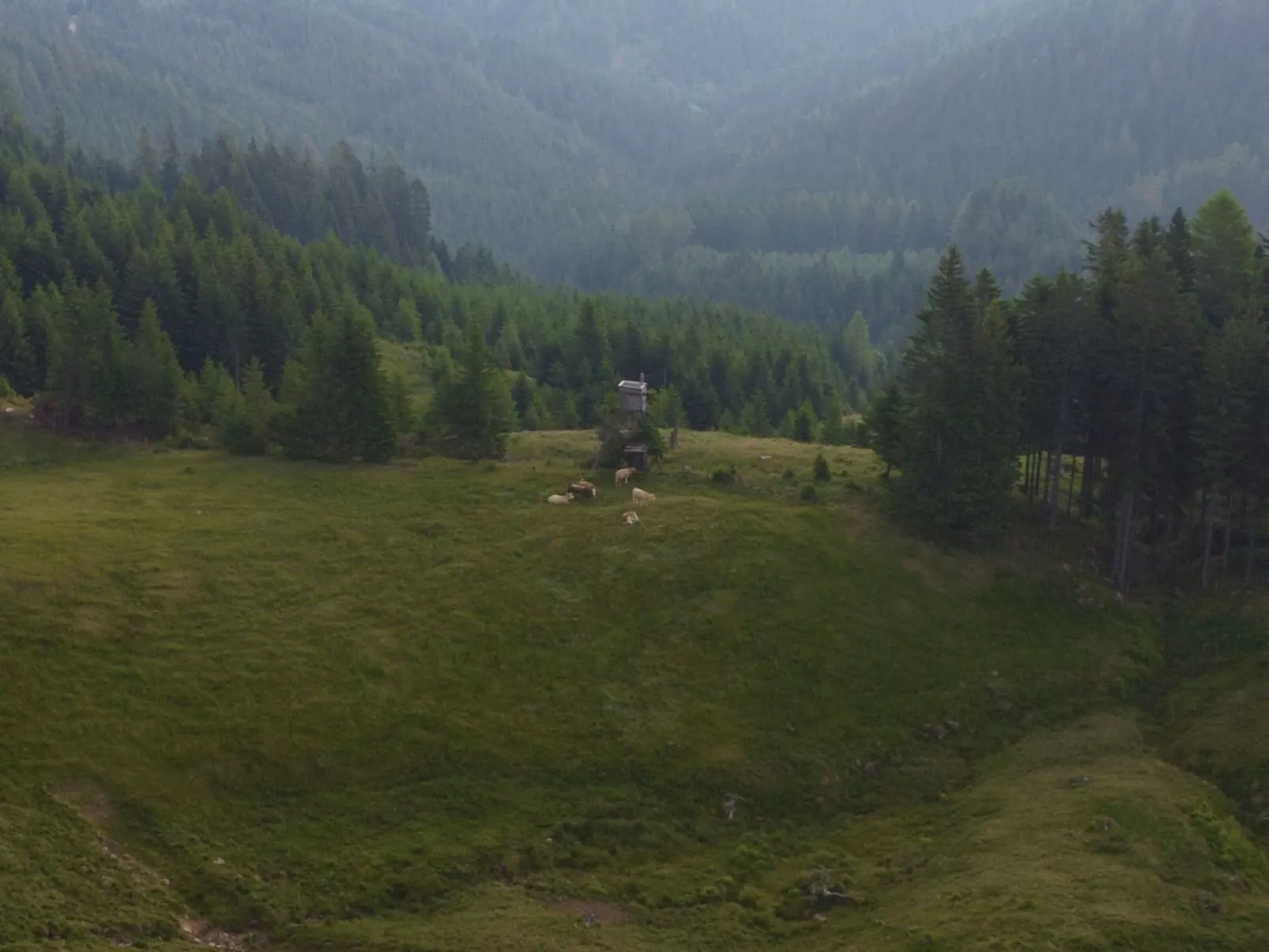 Alpentraum in Klippitztörl-Outside