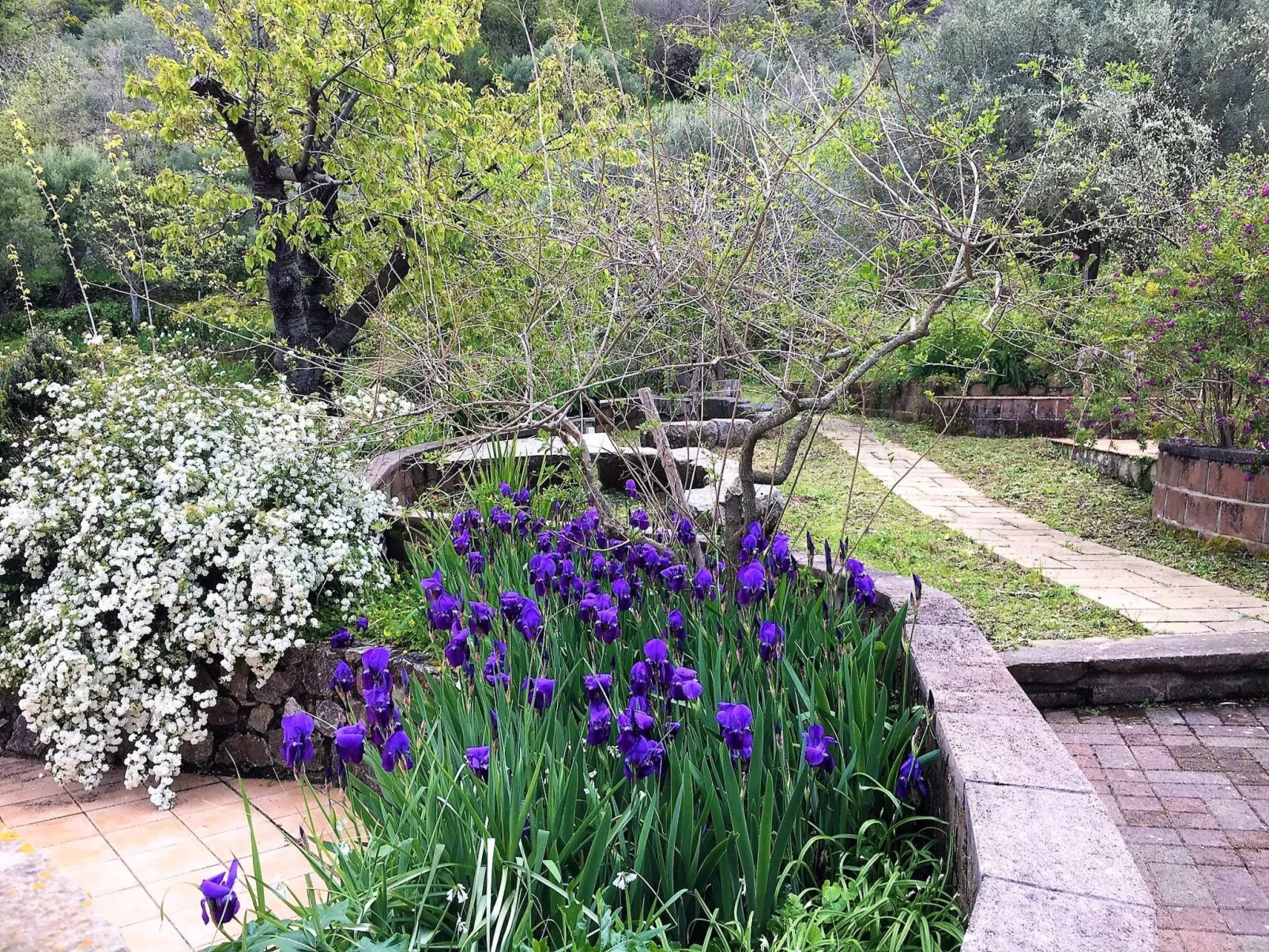 Orange Wohnung-Image-tags.info