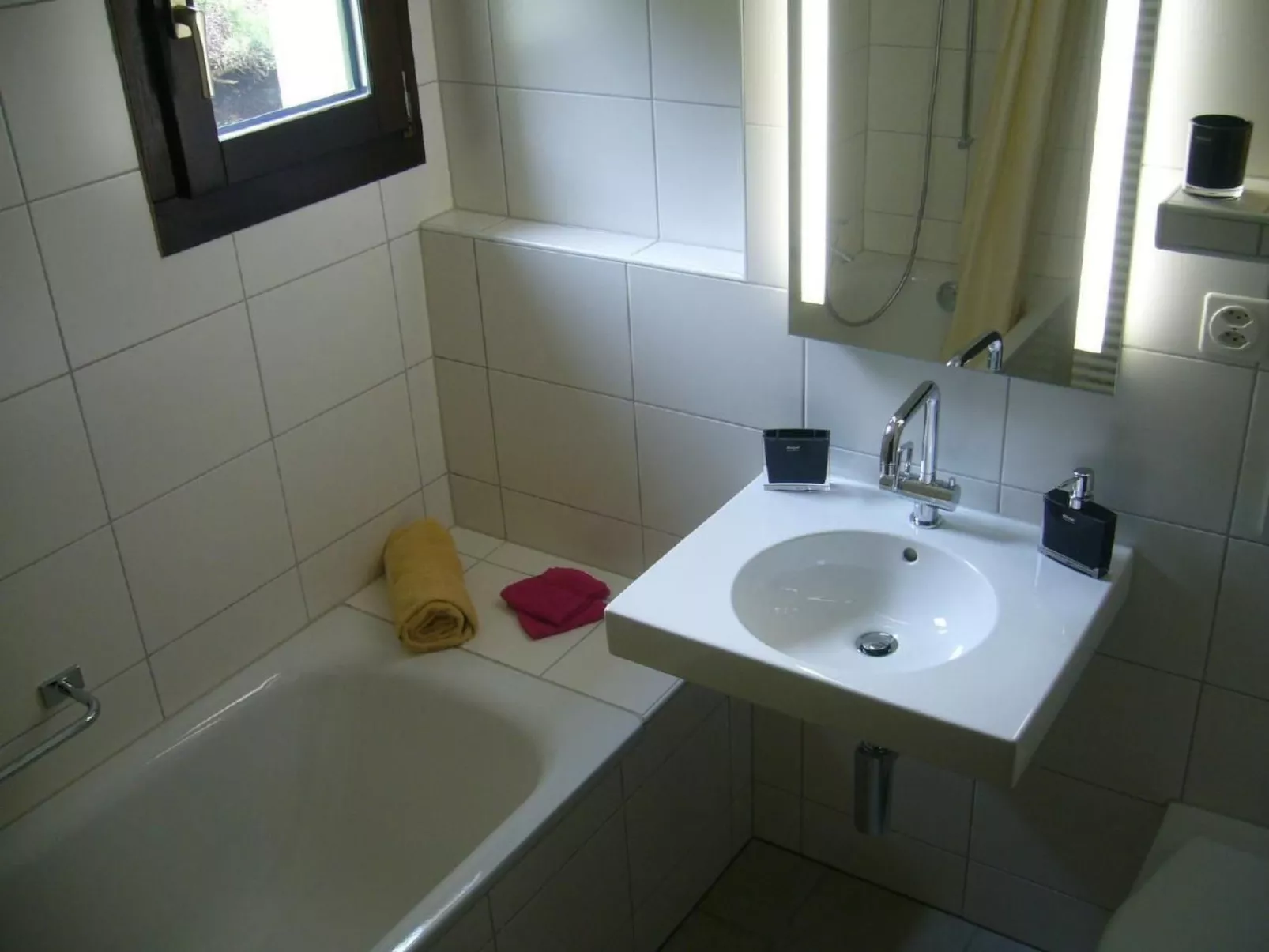 Arnica 2 La Punt-Drinnen