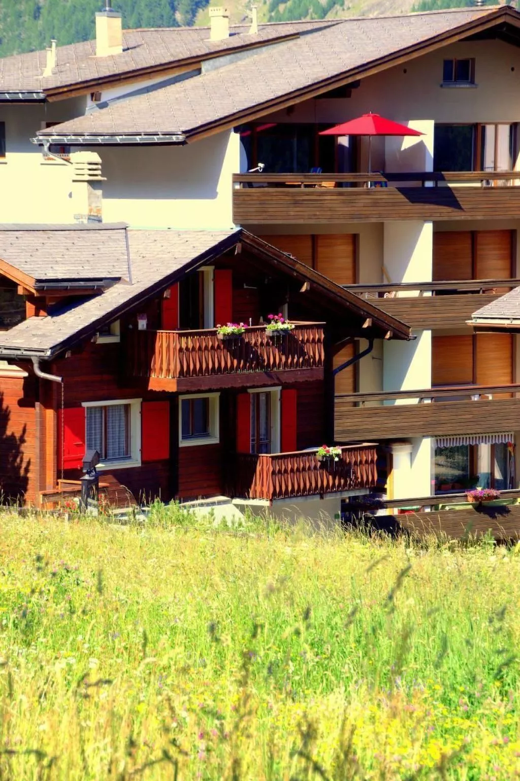 Mountain view-Draußen