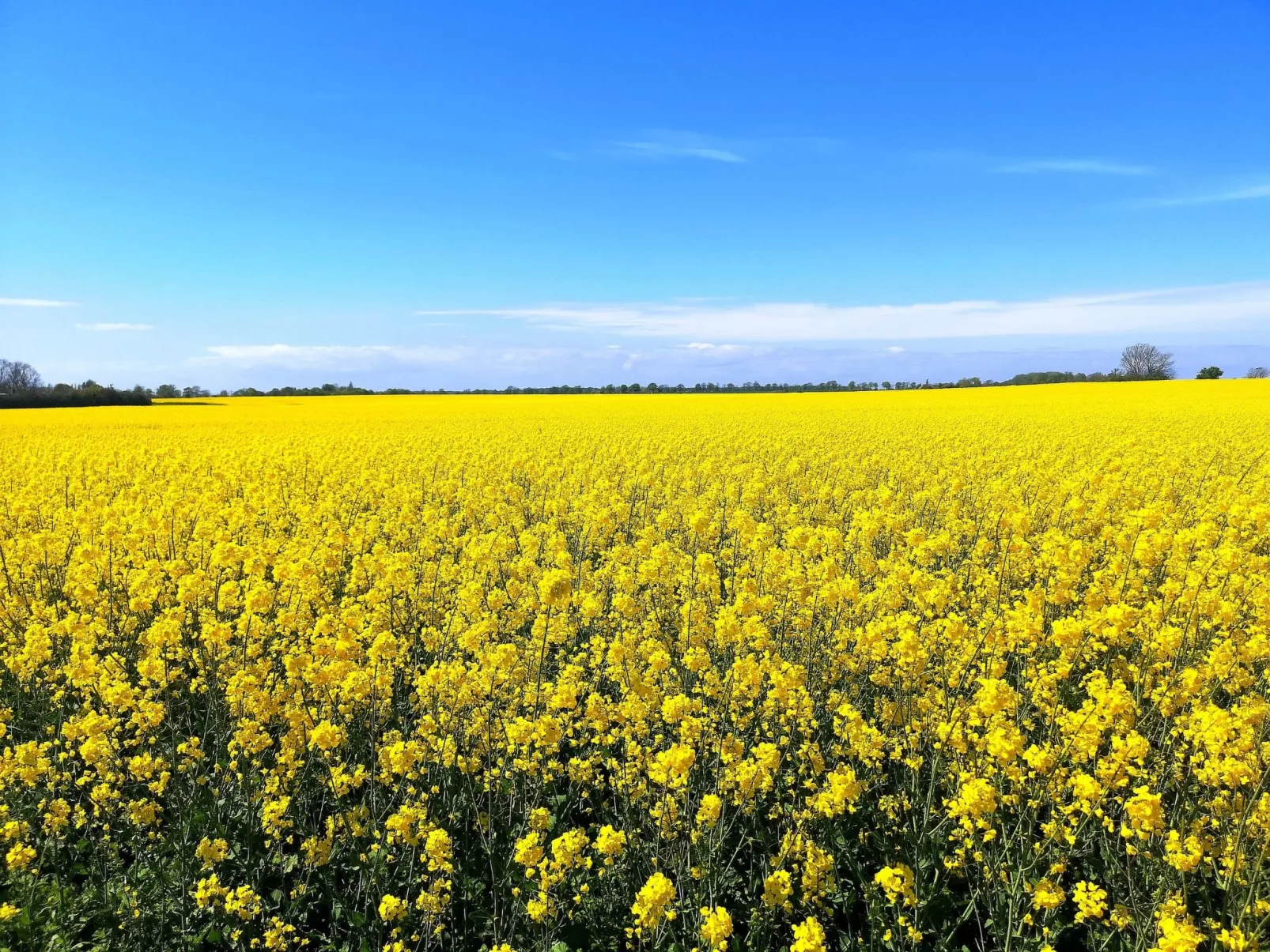 Reethaus Michel-Outside