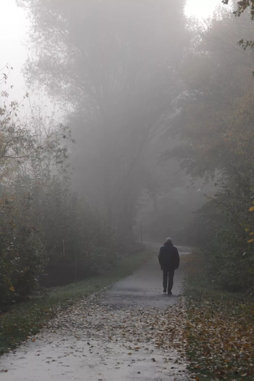 BärenNest Haus-Draußen