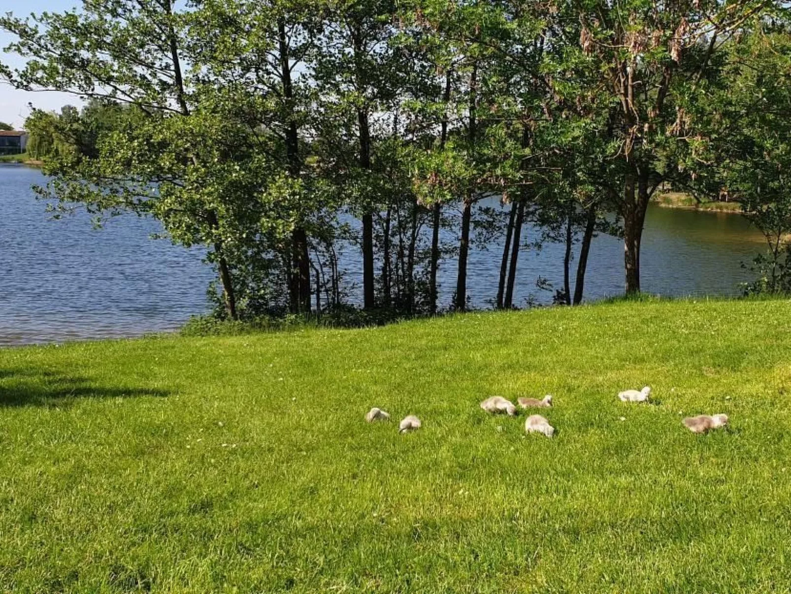 Waldhaus57 Silbersee-Draußen